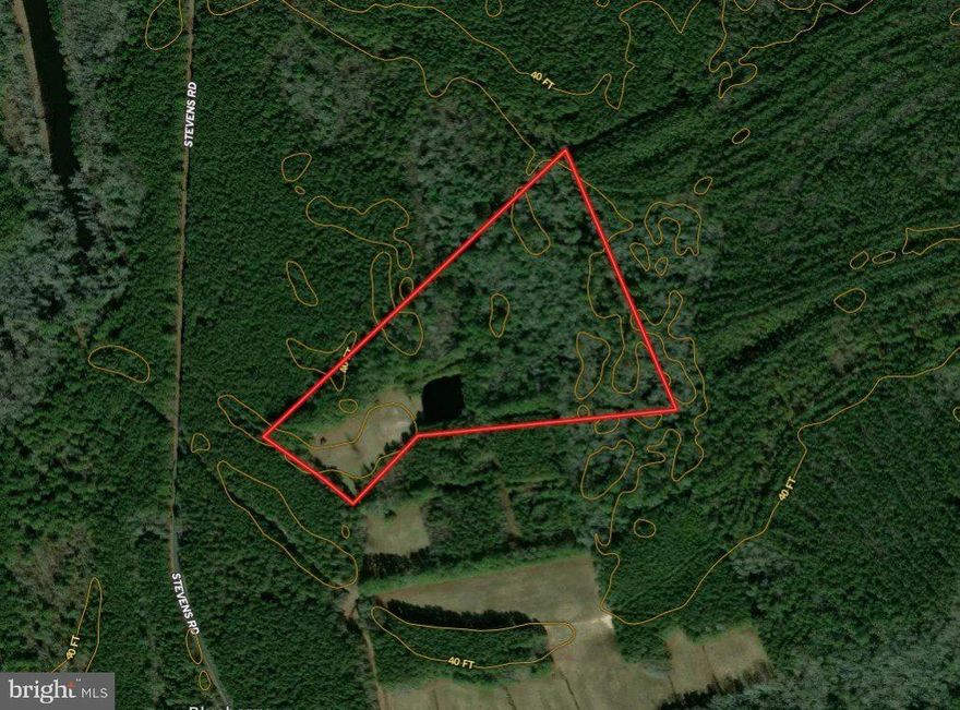 19.65± acre property located on Stevens Road in Worcester County, Maryland. The property offers a diverse mix of natural features well suited for recreational use, including a 0.5± acre pond, approximately 2± acres of open ground west of the pond improved by a 15′ × 20′± shed, and roughly 17± acres of mostly hardwood timber providing quality habitat for deer, turkey, and other upland wildlife. 

Access is provided via a right-of-way from Stevens Road entering the northwest corner of the property and shared with one other landowner. A well-maintained trail system allows easy access to multiple box blinds throughout the property while minimizing disturbance. Surrounding properties  include more than 4,000 acres of public Chesapeake Forest land, offering expansive hunting and recreational opportunities.

In addition to its recreational appeal, a perc approval recorded in 2001 offers potential for future residential improvement (current status unknown; buyer to perform all due diligence). The property is conveniently located approximately 20 minutes from Salisbury and 45 minutes from Ocean City. Neighboring timber property available through listing agent.

DO NOT ENTER PROPERTY WITHOUT PERMISSION OF THE SHOWING AGENT.