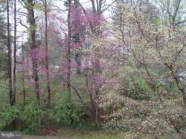 LOCUST HILL - Residential