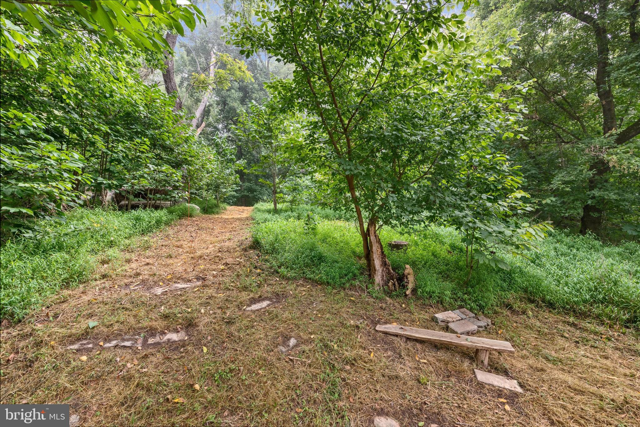 STEAMBOAT RUN ESTATES - Land