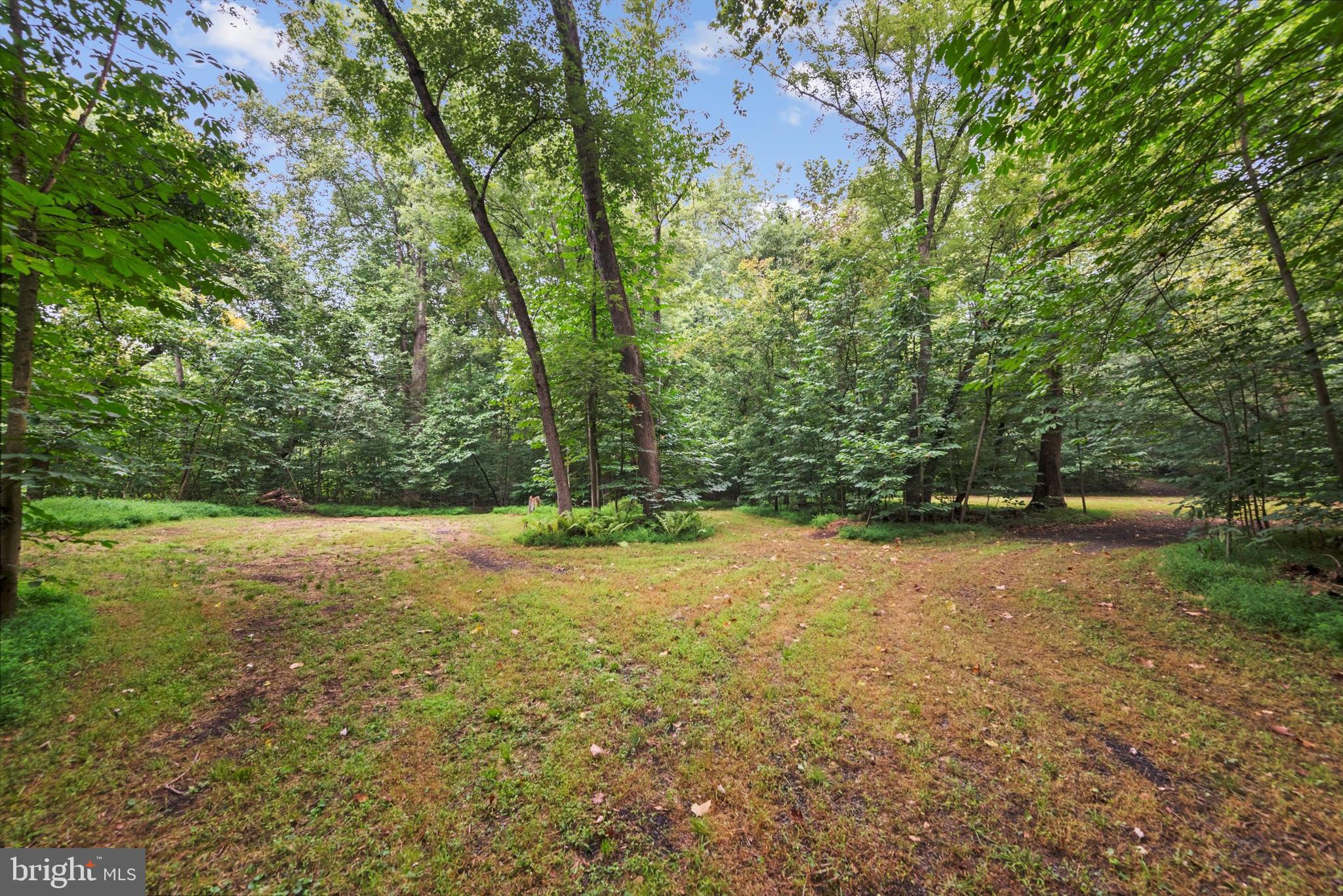 STEAMBOAT RUN ESTATES - Land