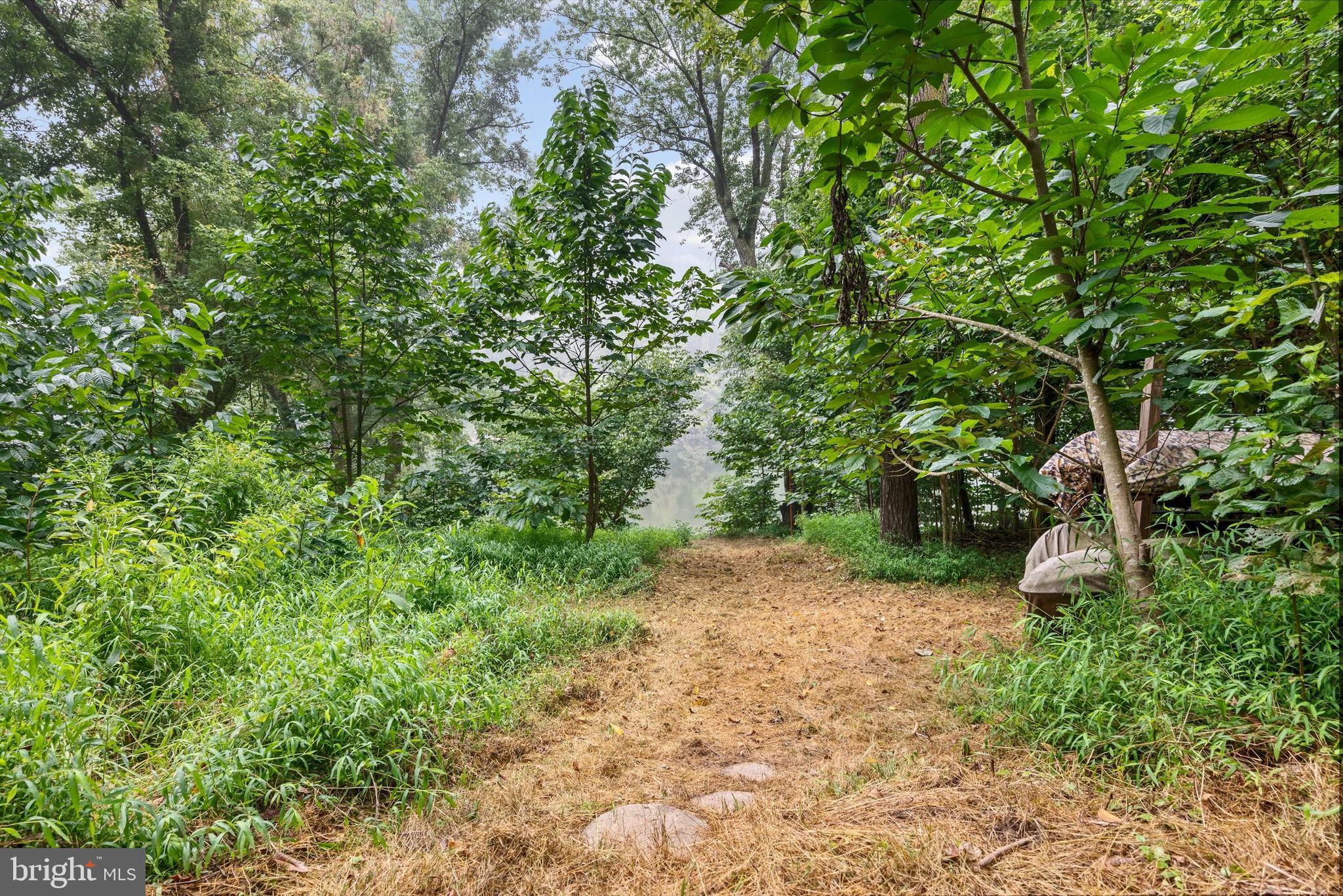 STEAMBOAT RUN ESTATES - Land