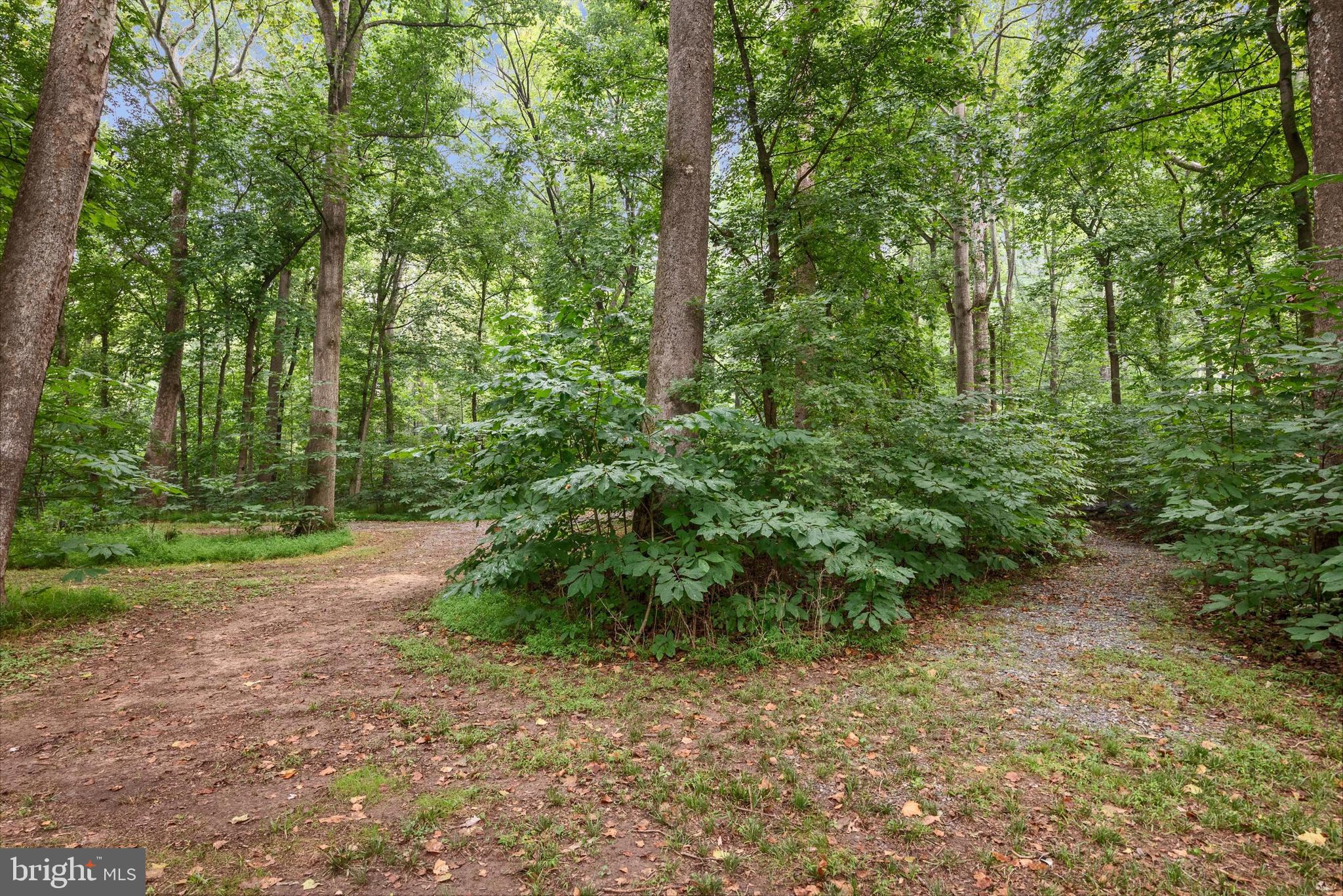 STEAMBOAT RUN ESTATES - Land