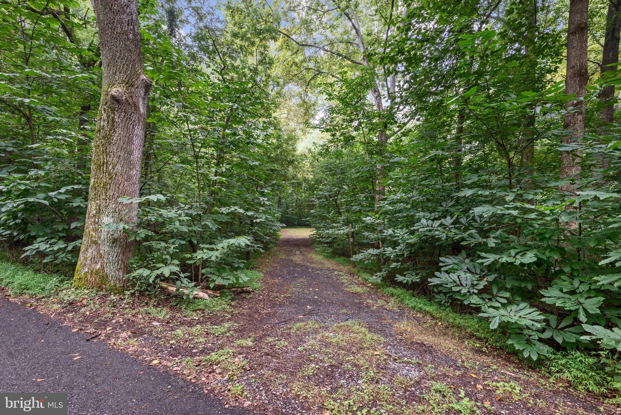 STEAMBOAT RUN ESTATES - Land