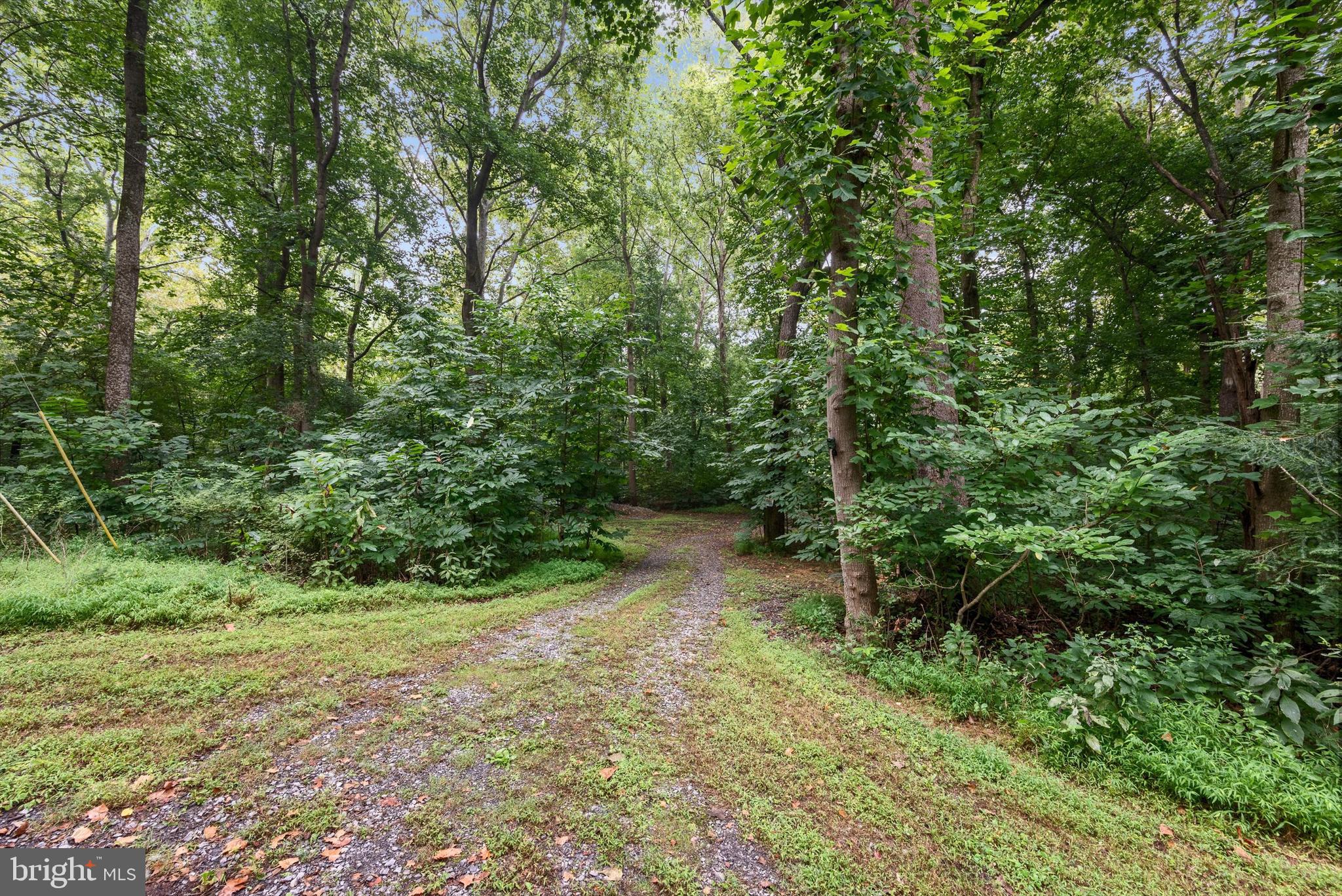 STEAMBOAT RUN ESTATES - Land