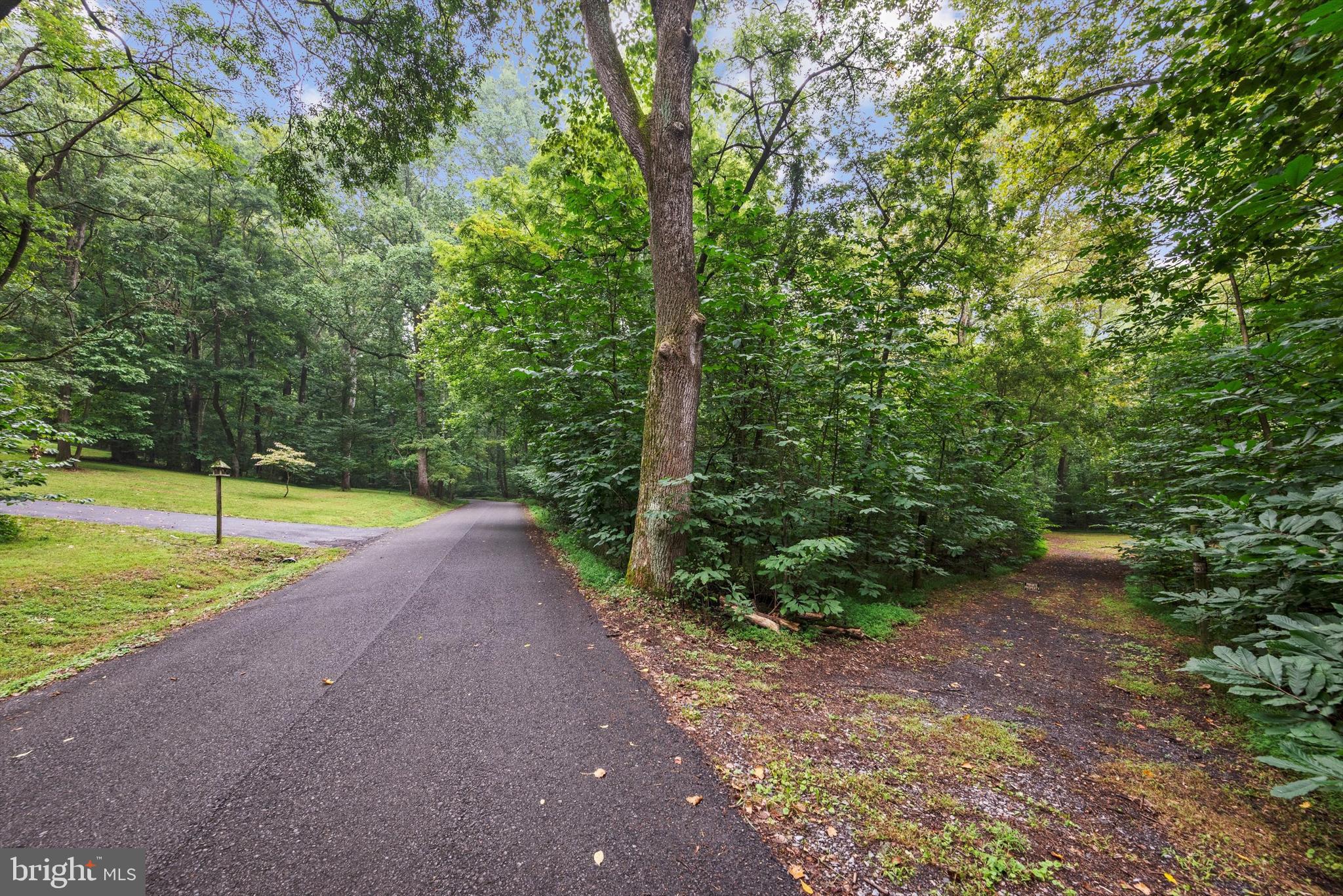 STEAMBOAT RUN ESTATES - Land