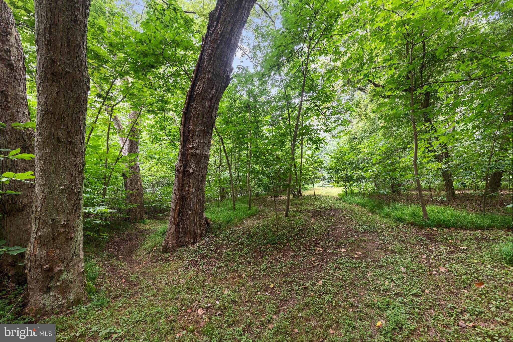 STEAMBOAT RUN ESTATES - Land