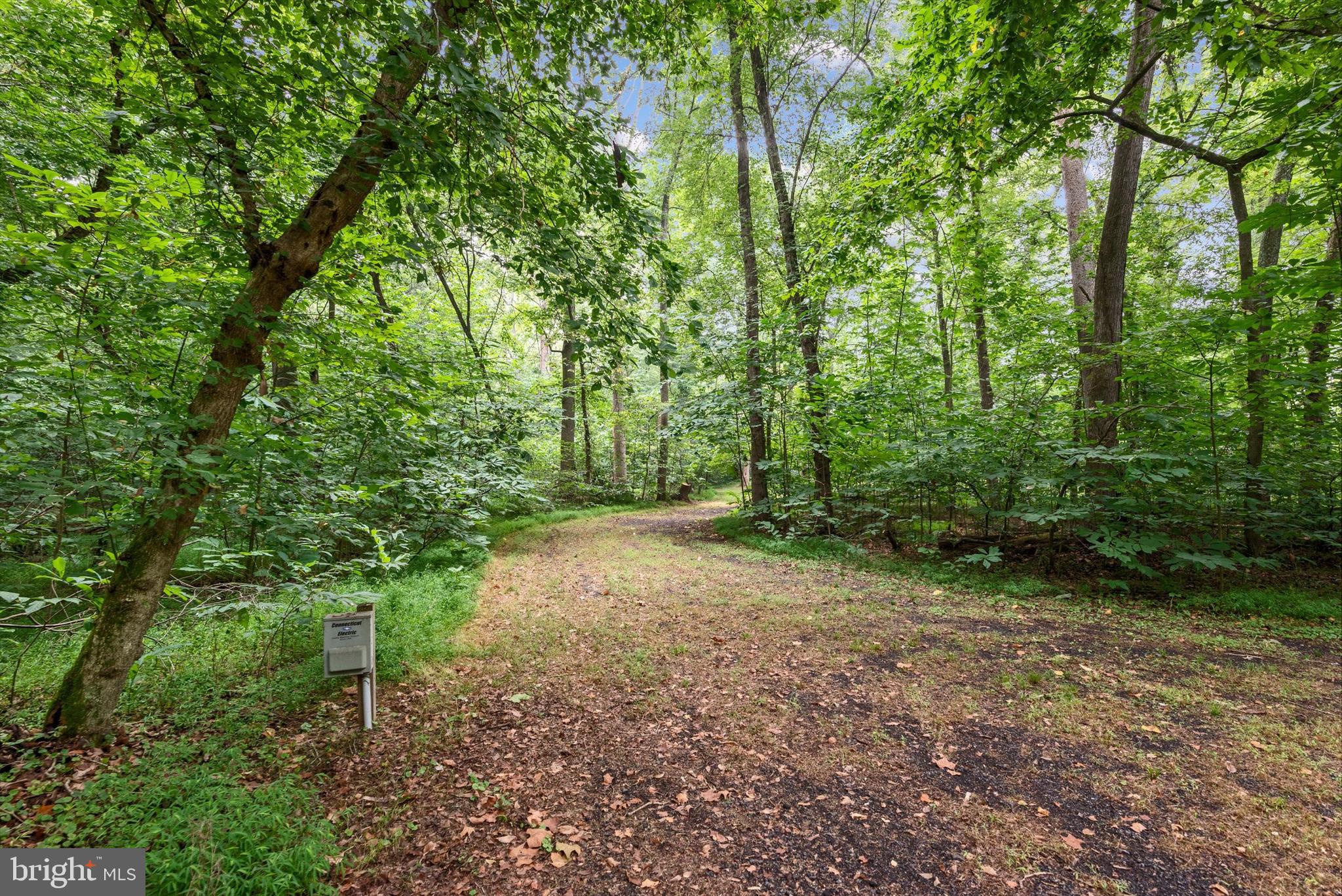 STEAMBOAT RUN ESTATES - Land