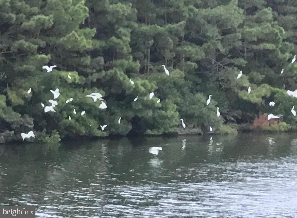 ASSATEAGUE PT RESORT - Residential