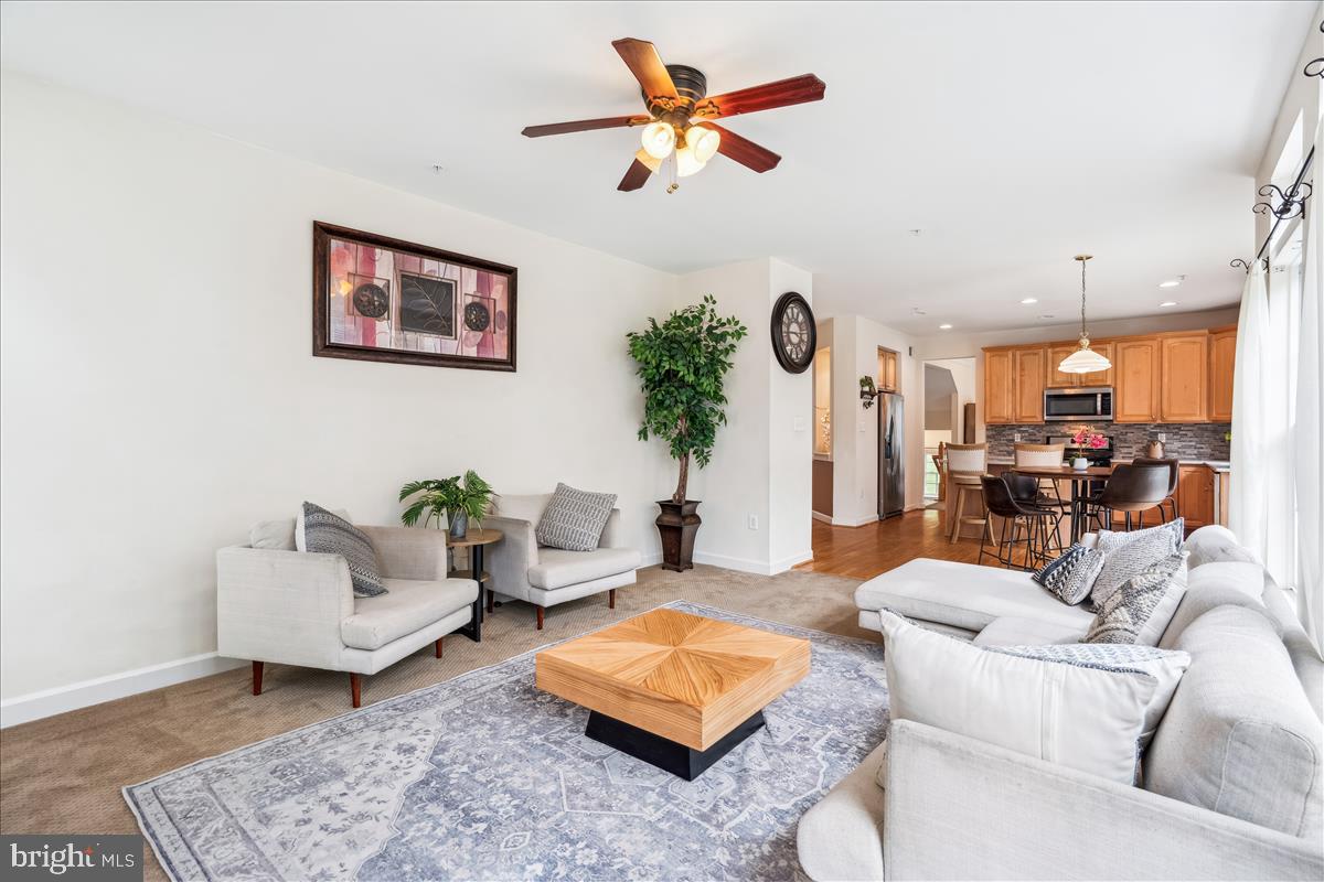 THE VILLAGES AT WELLINGTON - Residential