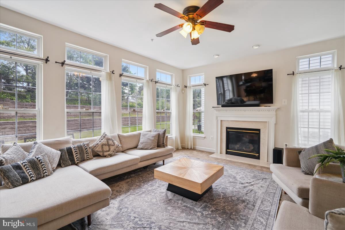 THE VILLAGES AT WELLINGTON - Residential