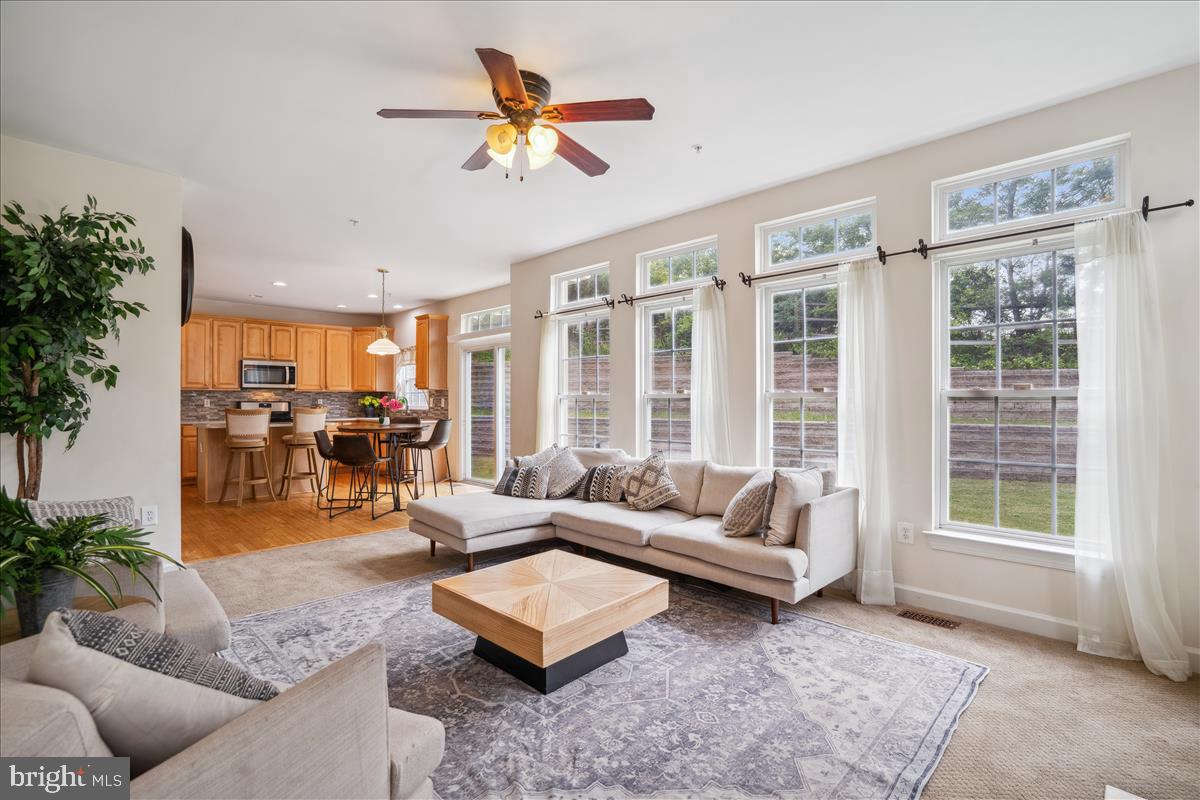 THE VILLAGES AT WELLINGTON - Residential