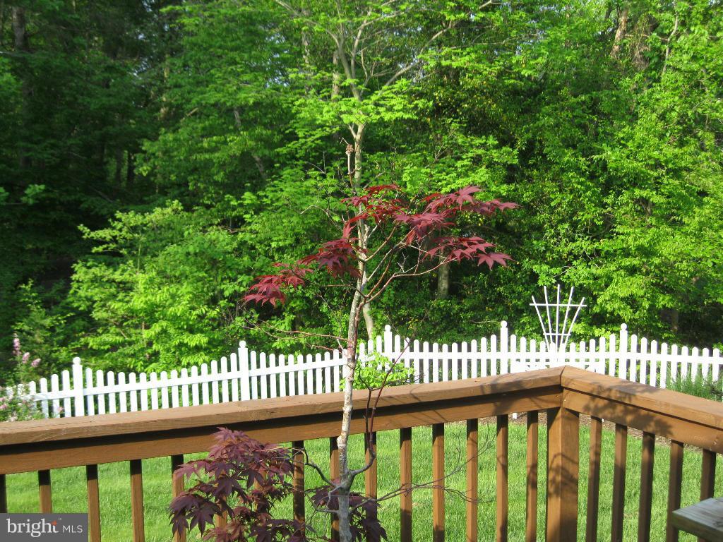 SINGLETREE PUD - Residential