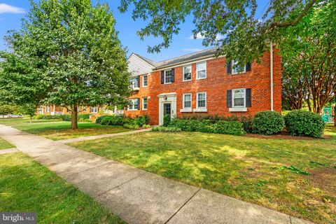 6507 10TH STREET B1 ALEXANDRIA VA 22307