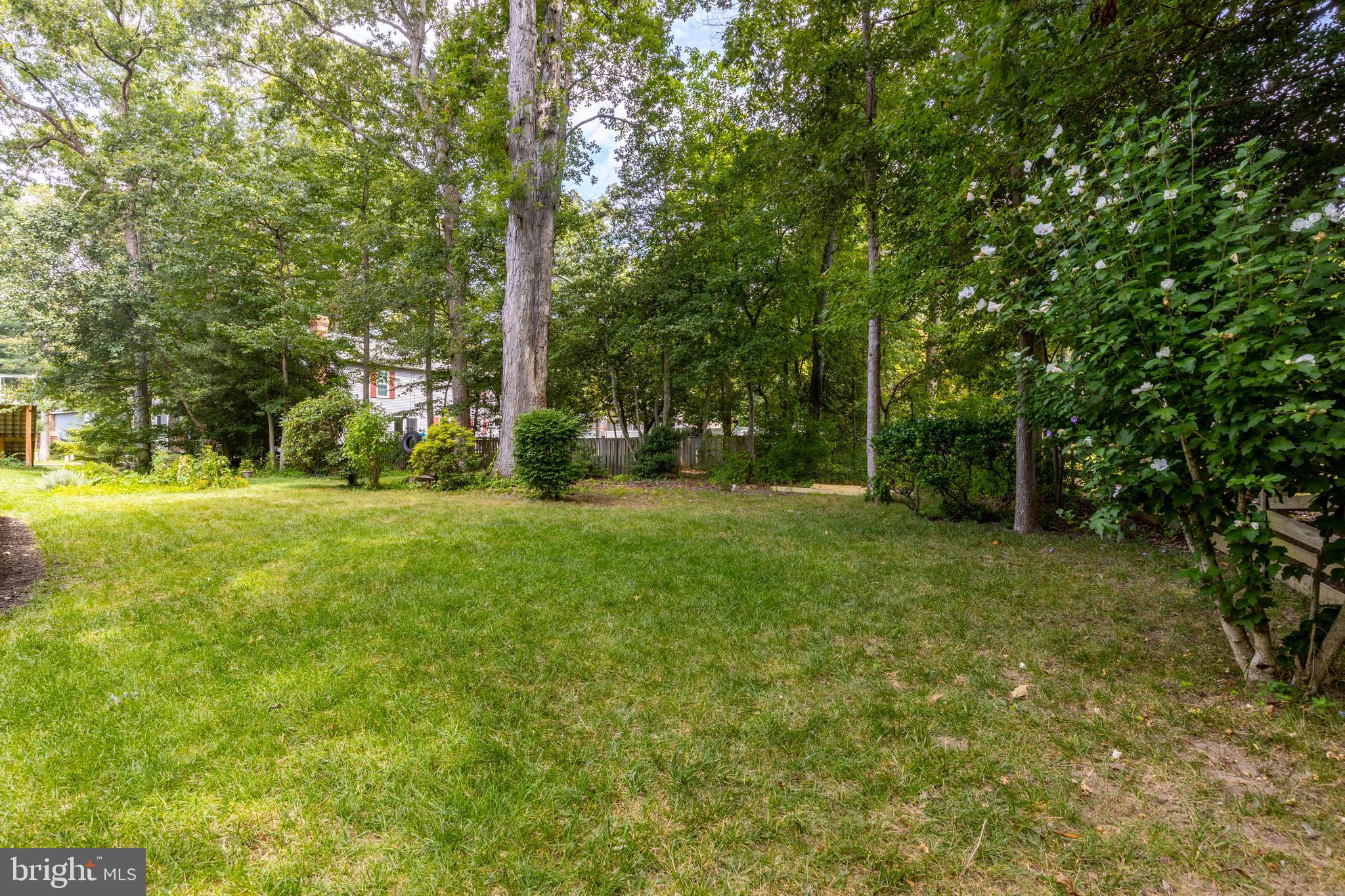 SHIPLEYS CHOICE - Residential