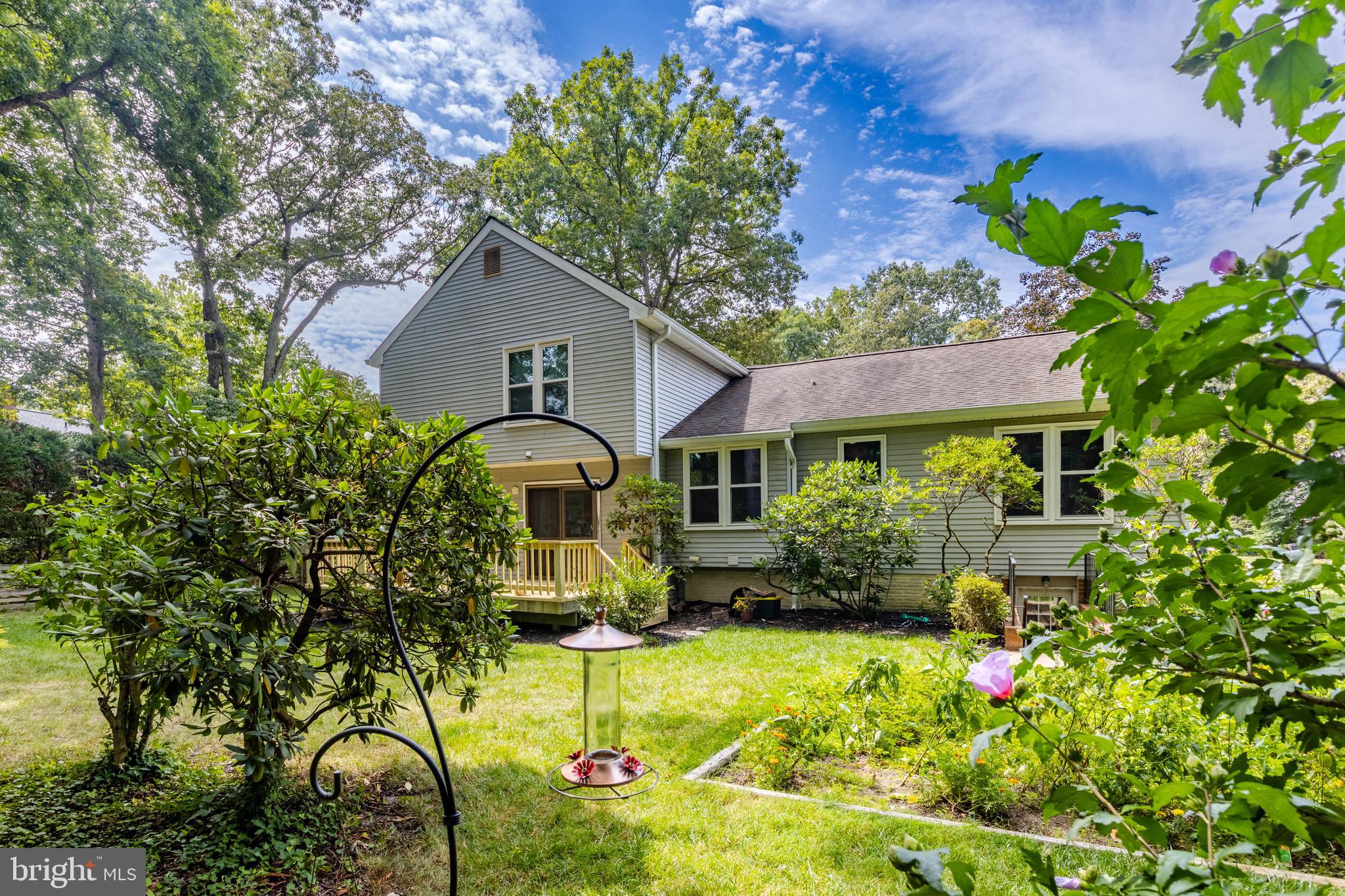 SHIPLEYS CHOICE - Residential