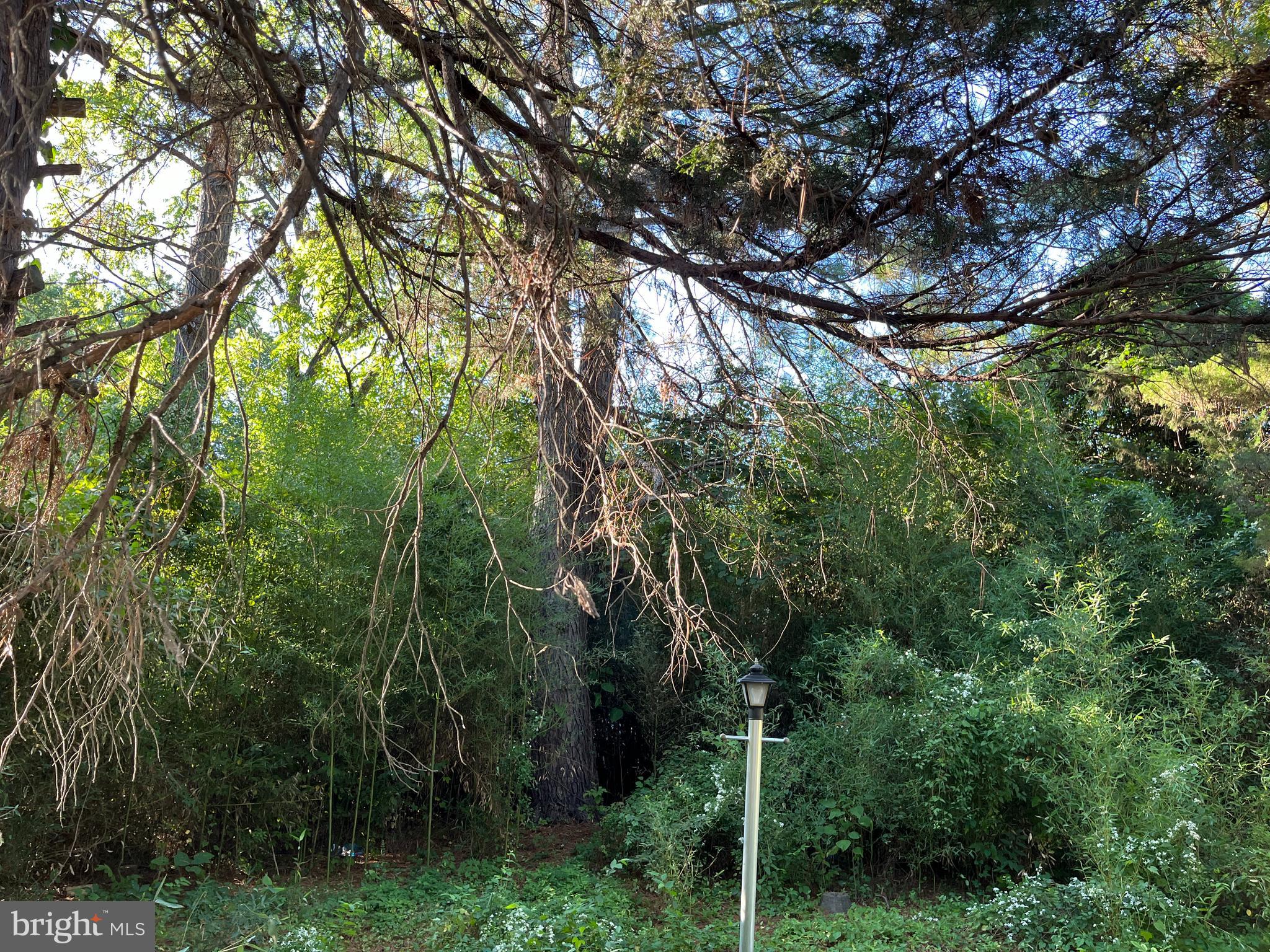 COTTAGE CITY - Residential