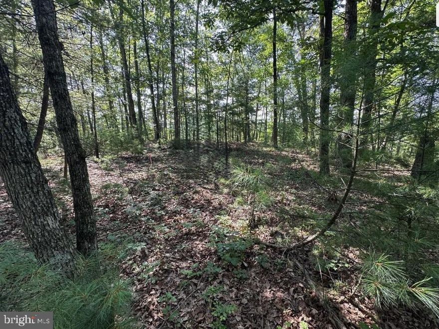 Build your dream home or create a peaceful weekend retreat on this beautiful 3.07 acre wooded parcel offering breathtaking Blue Ridge Mountain views and peaceful surroundings. Enjoy privacy, open space, and the serenity of nature while still being within convenient distance to nearby amenities.