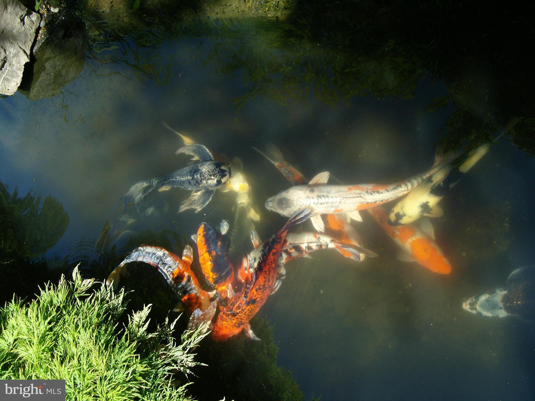 HUNTER'S CREST - Residential