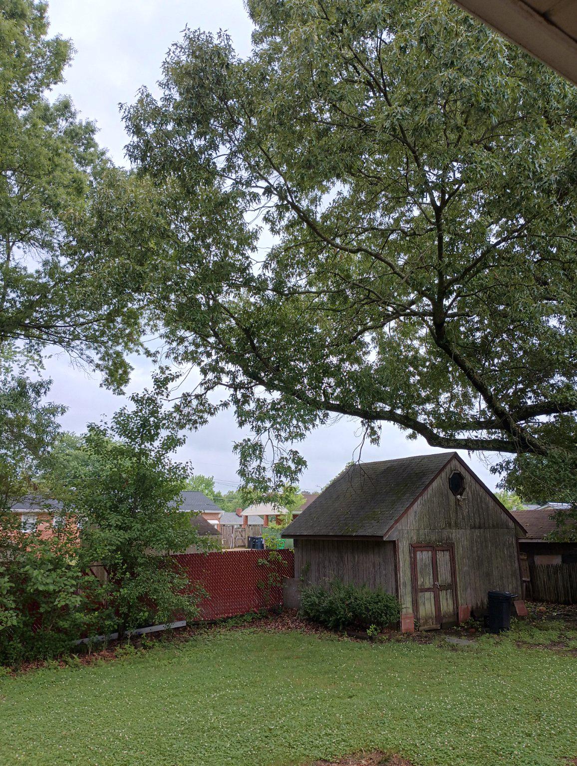 ROSEDALE - Residential