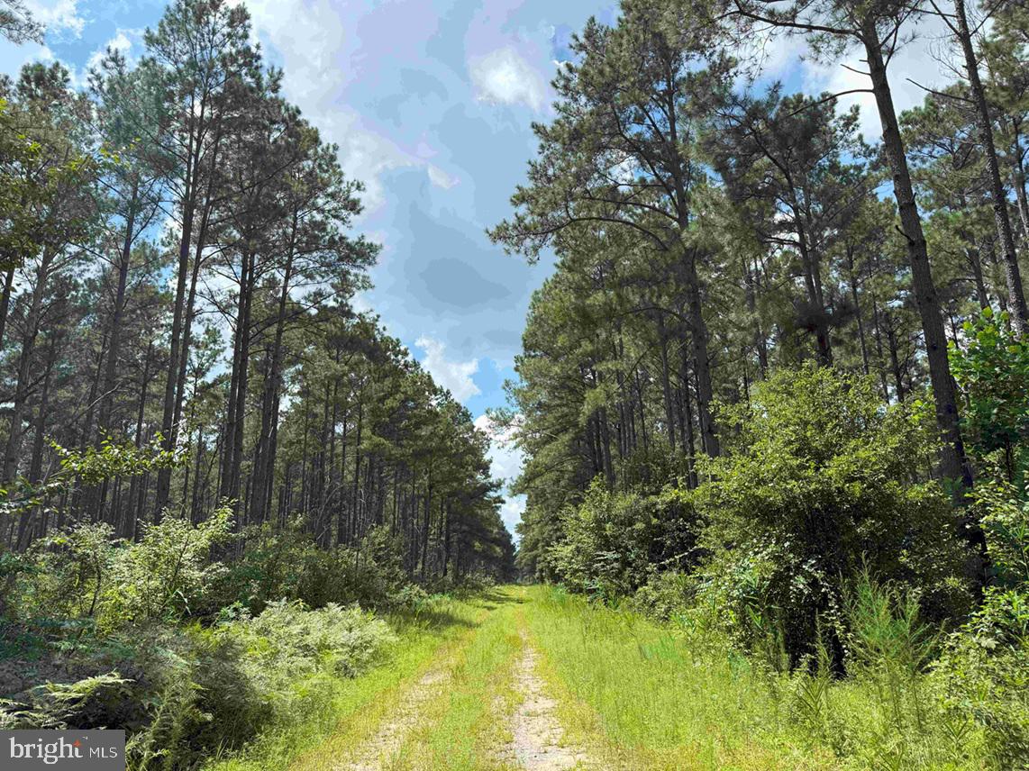 N LIBERTY SPRING RD (TRACT: CHES. BLOCK 4-61-119)