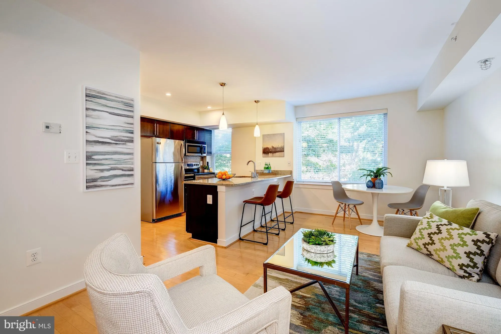 420 16th Street SE Unit 110, Washington, DC 20003