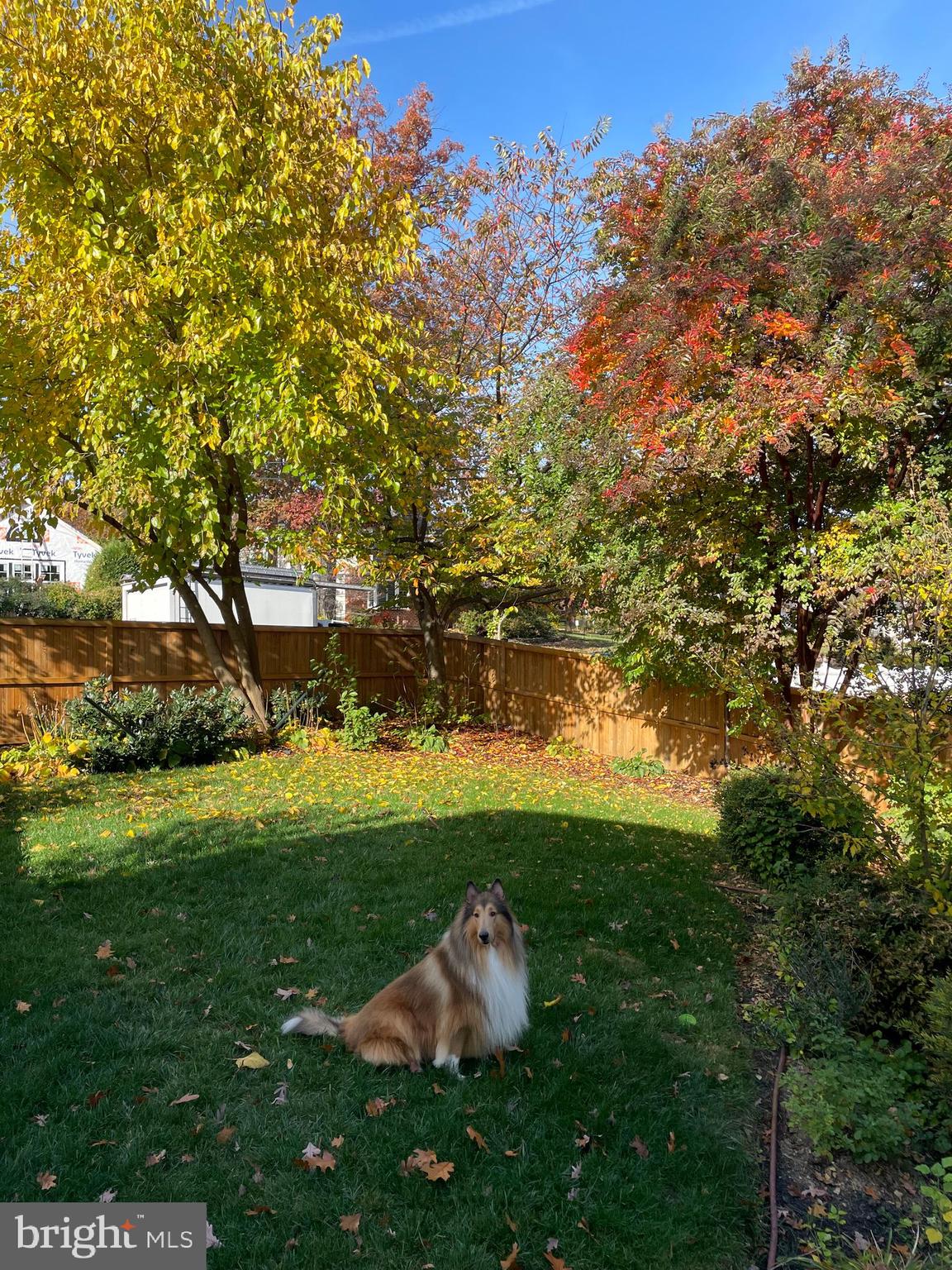 BEVERLEY HILLS - Residential