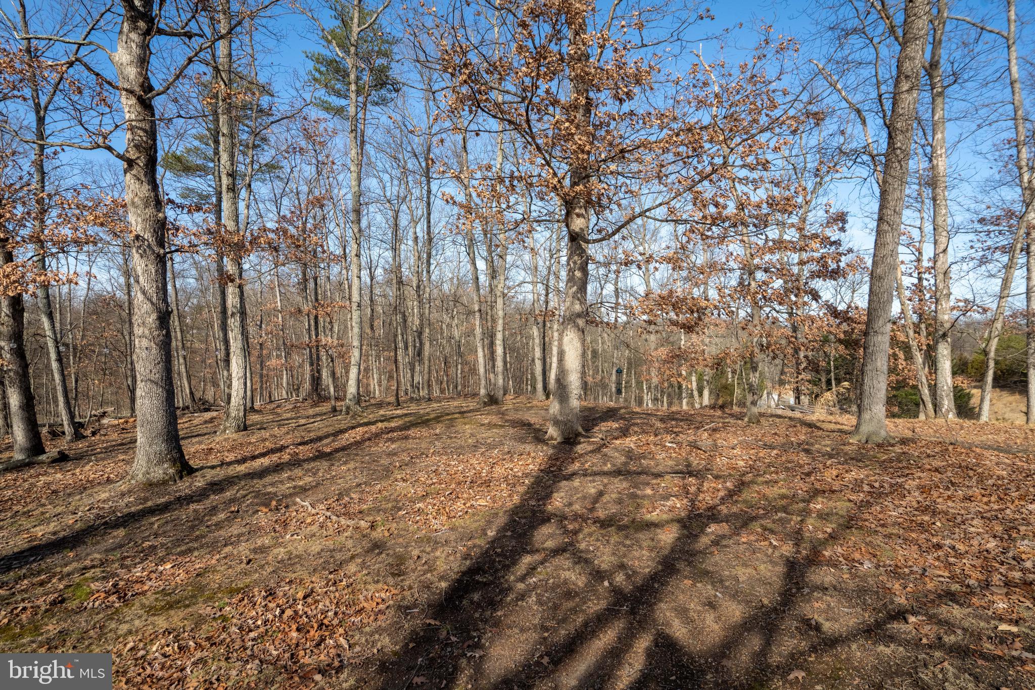 FOREST HEIGHTS - Residential