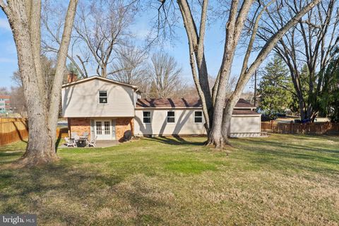 listing image 43