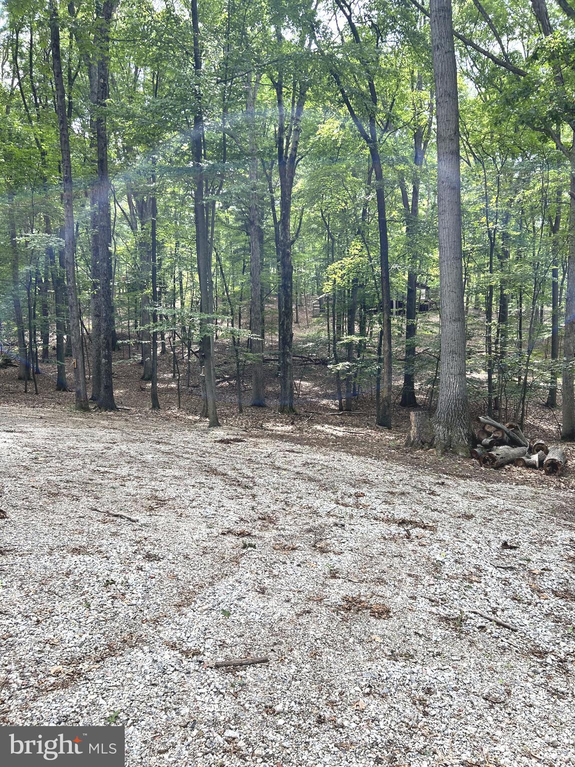 THE WOODS - Residential