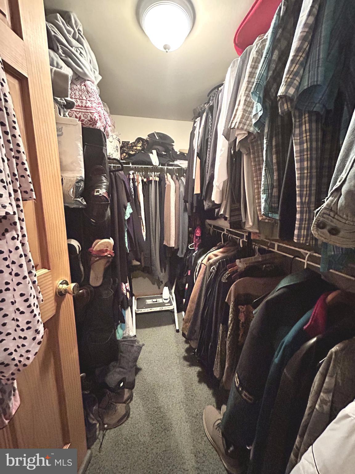 THE WOODS - Residential