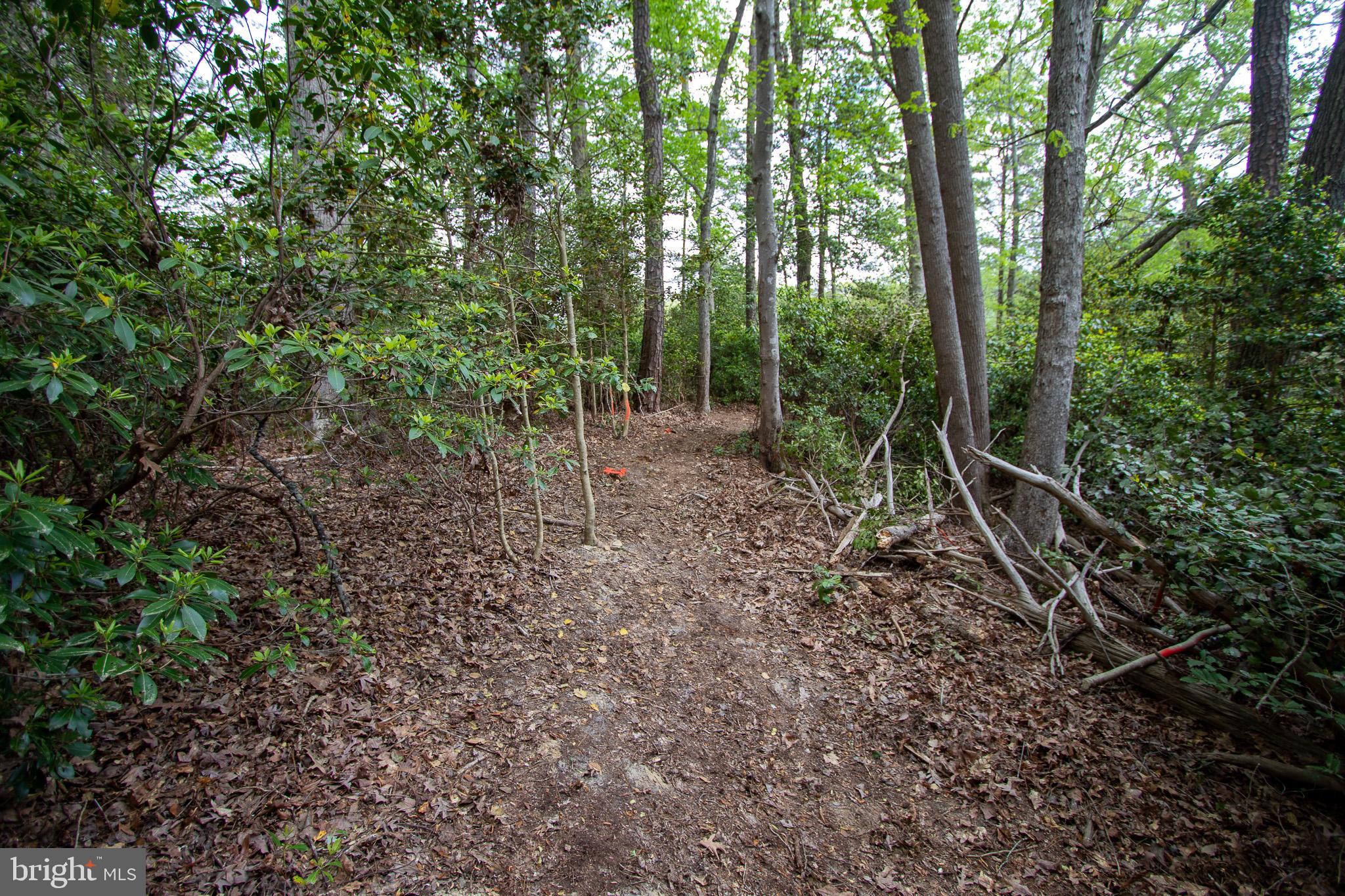 NONE AVAILABLE - Land