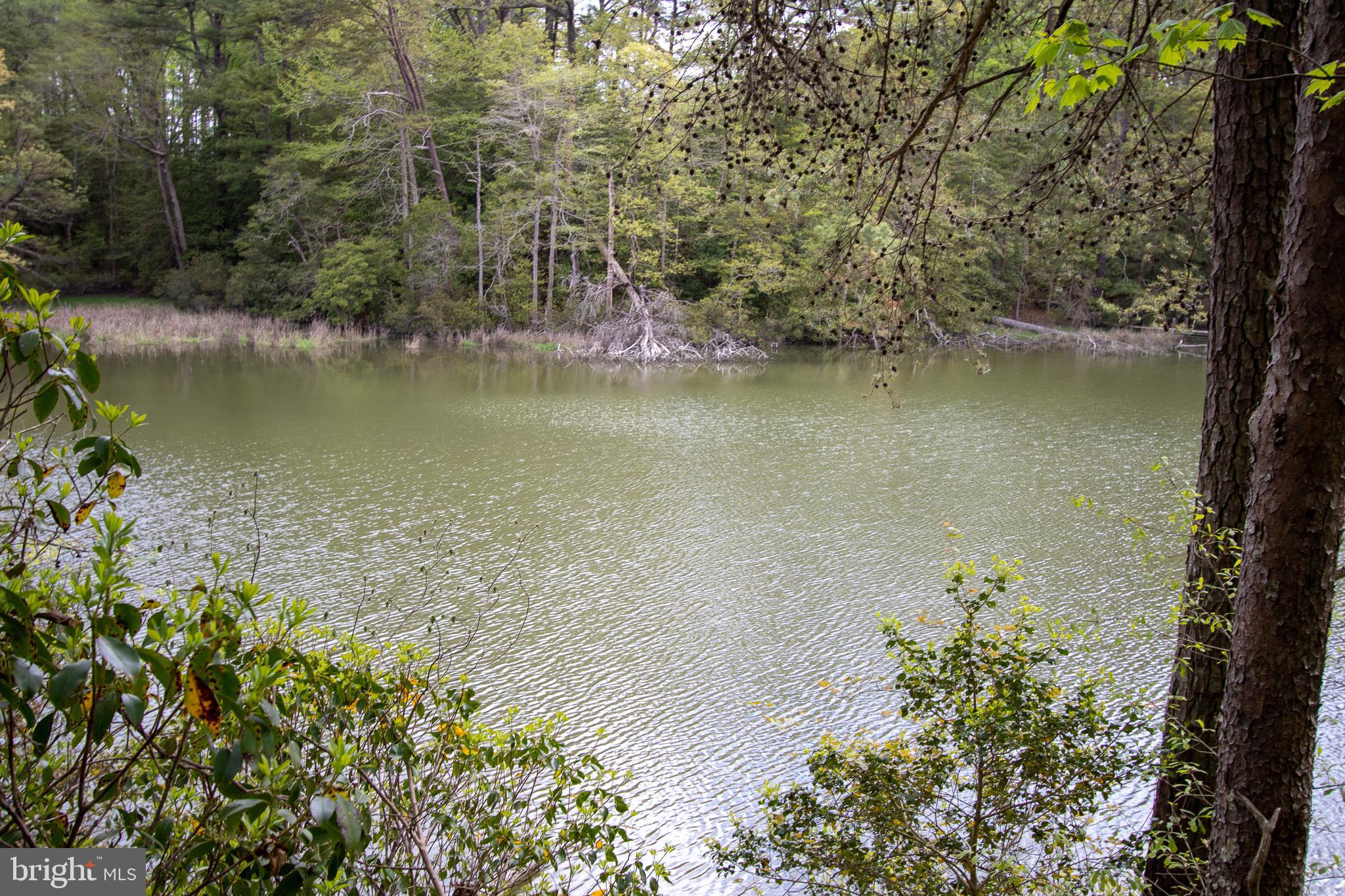 NONE AVAILABLE - Land