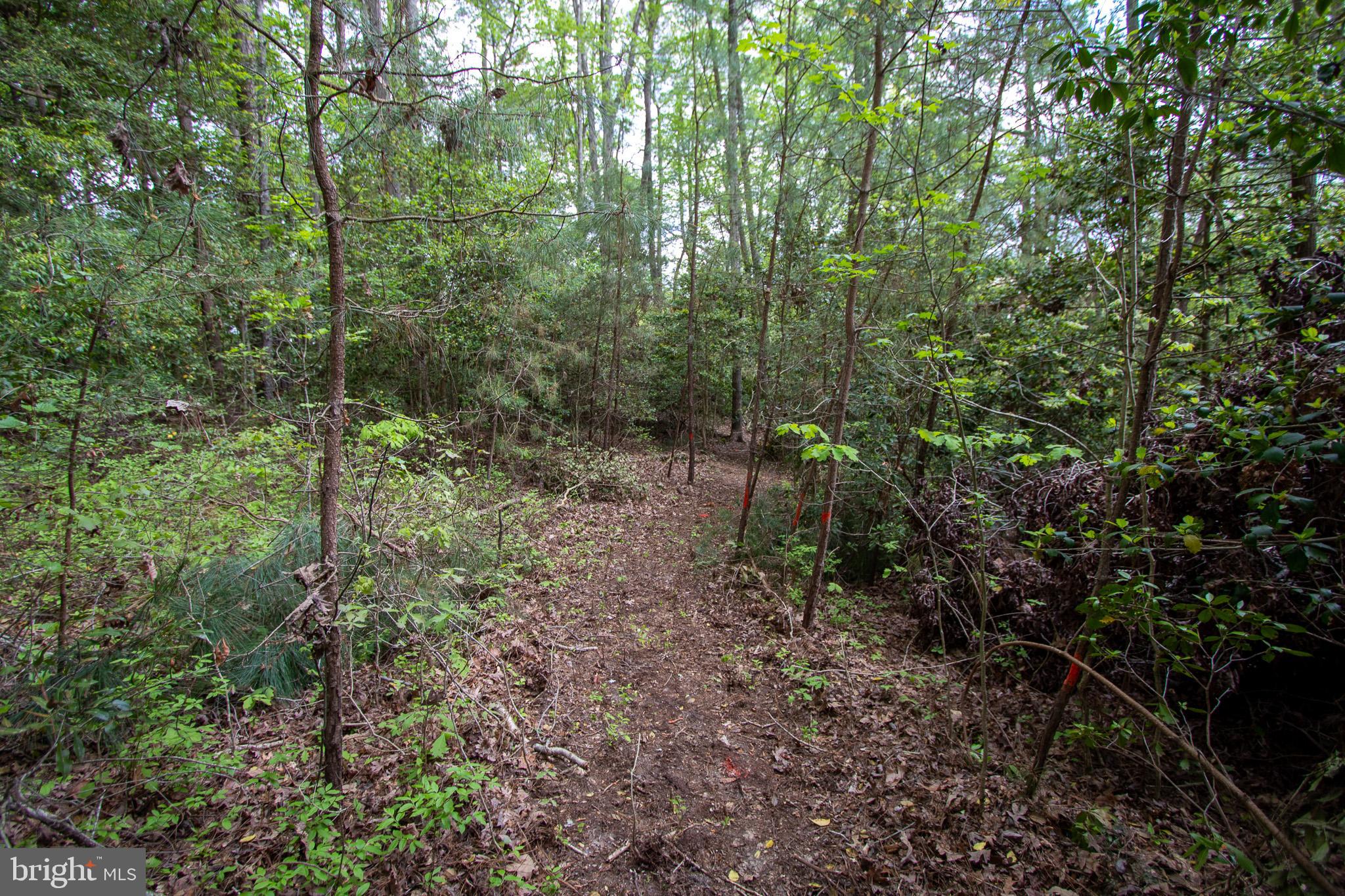 NONE AVAILABLE - Land