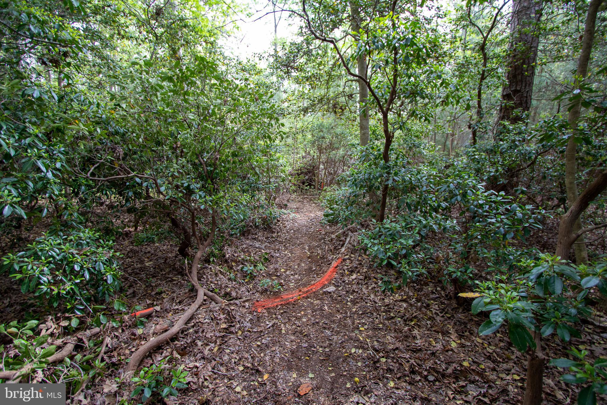 NONE AVAILABLE - Land