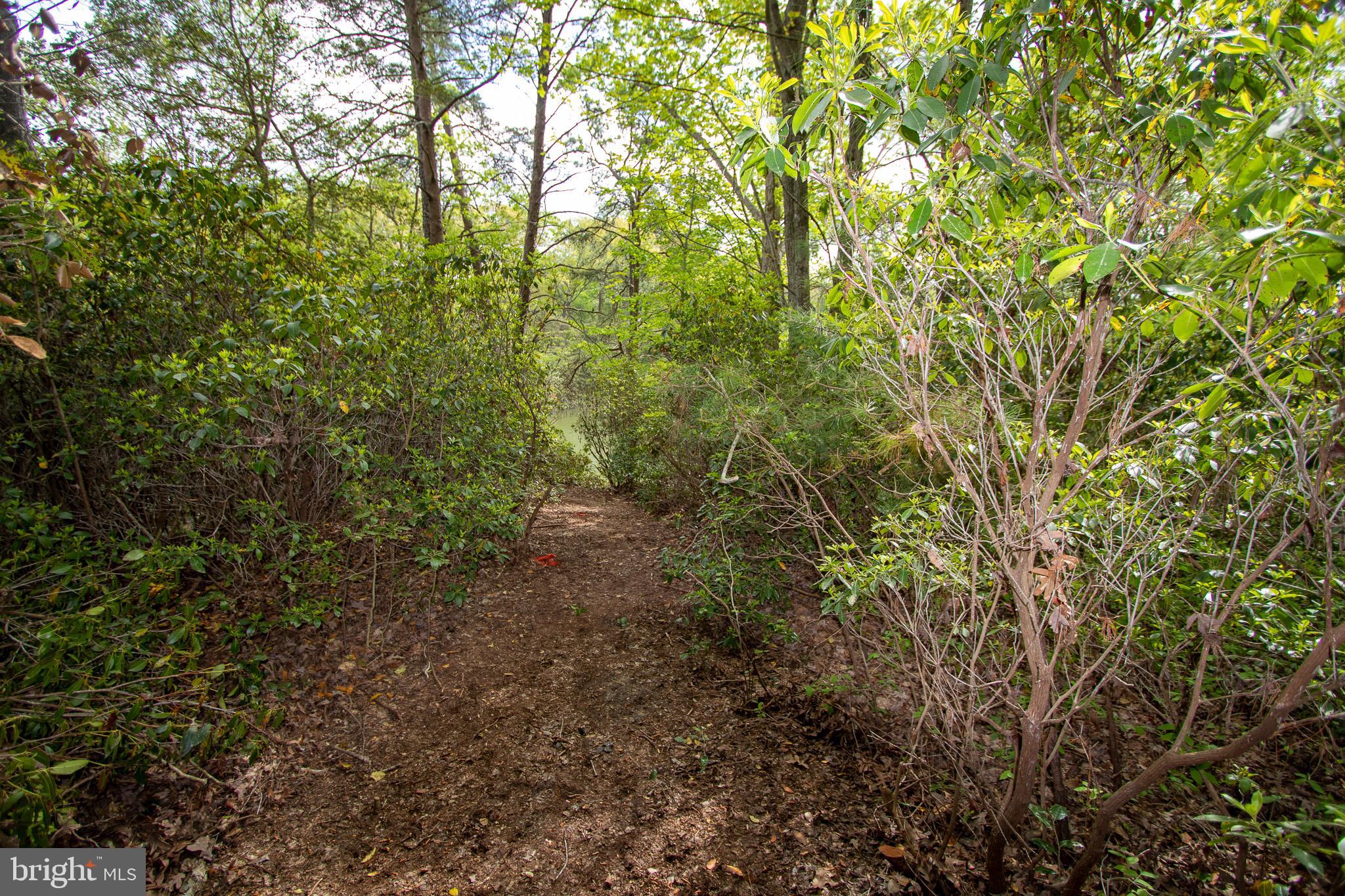 NONE AVAILABLE - Land