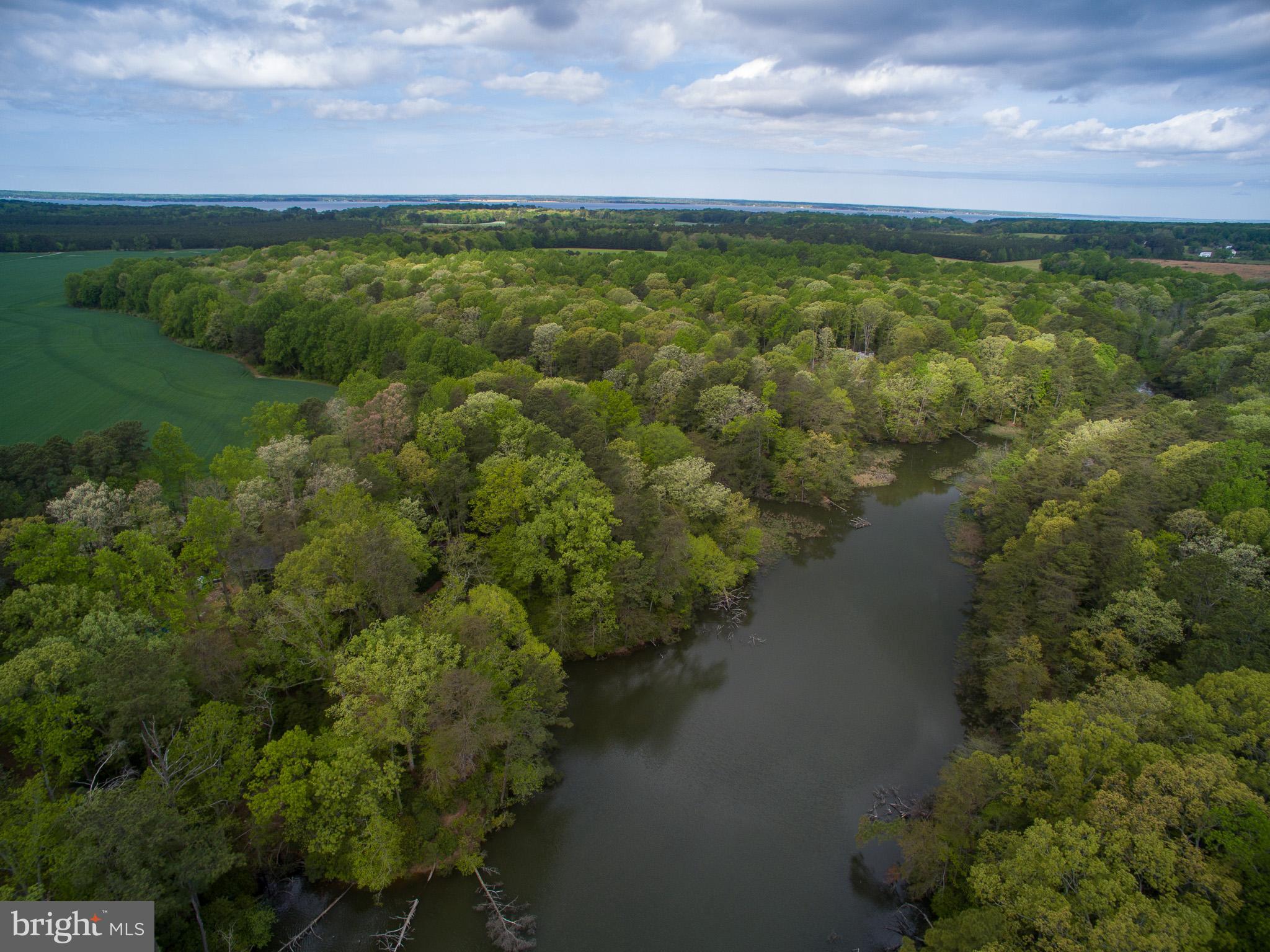 NONE AVAILABLE - Land