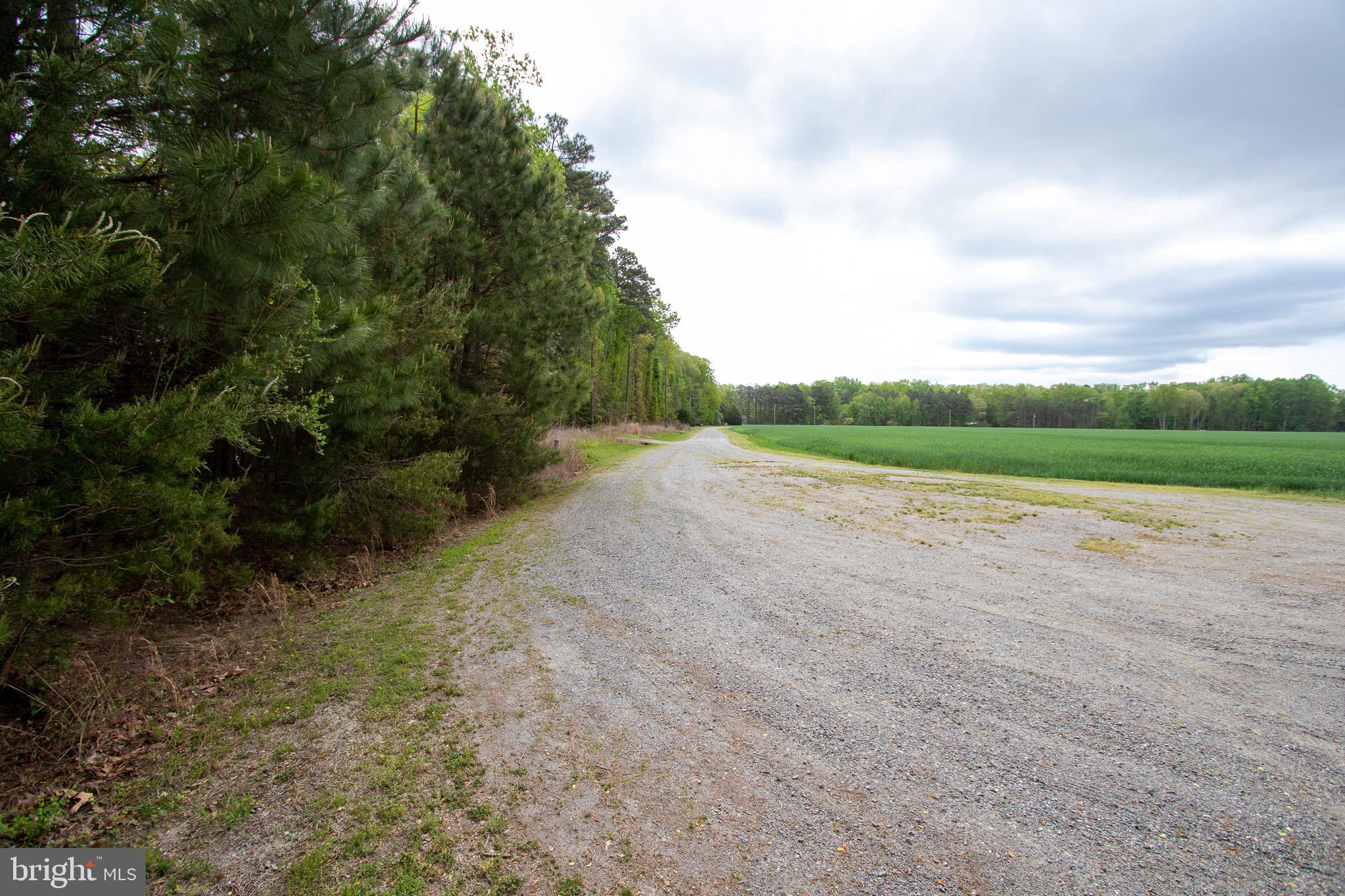 NONE AVAILABLE - Land