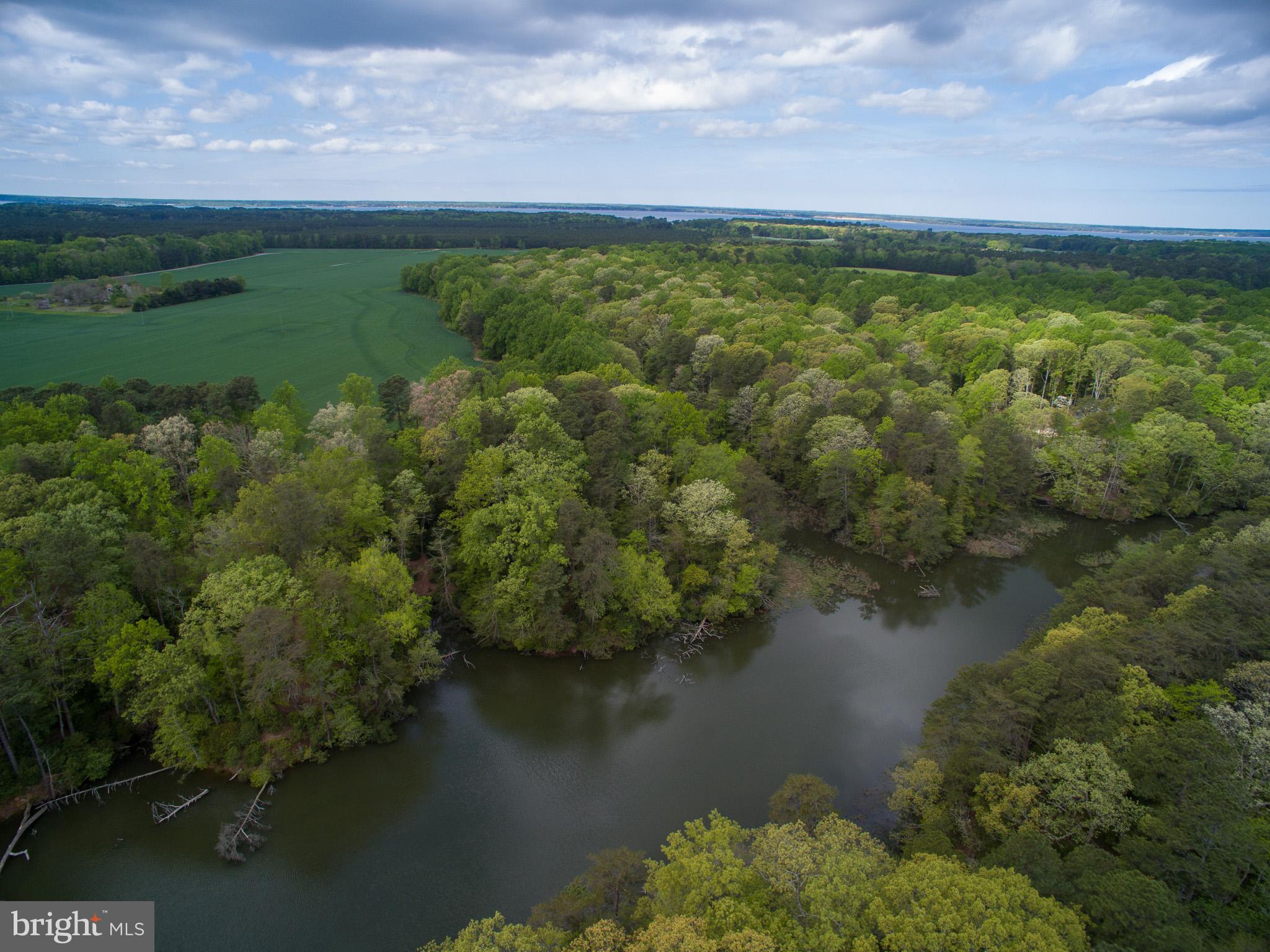 NONE AVAILABLE - Land