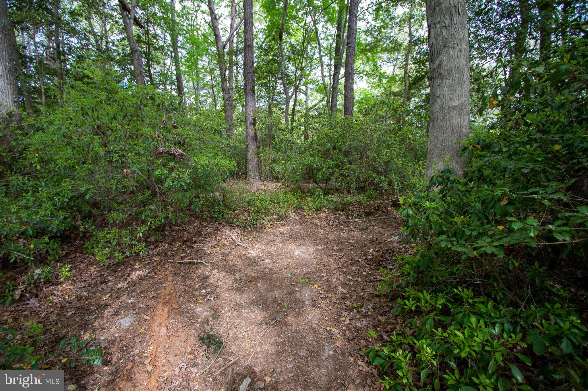 NONE AVAILABLE - Land