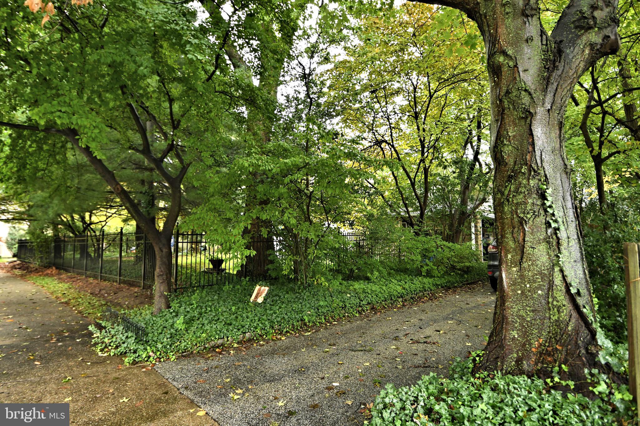 CHESTNUT HILL - Residential