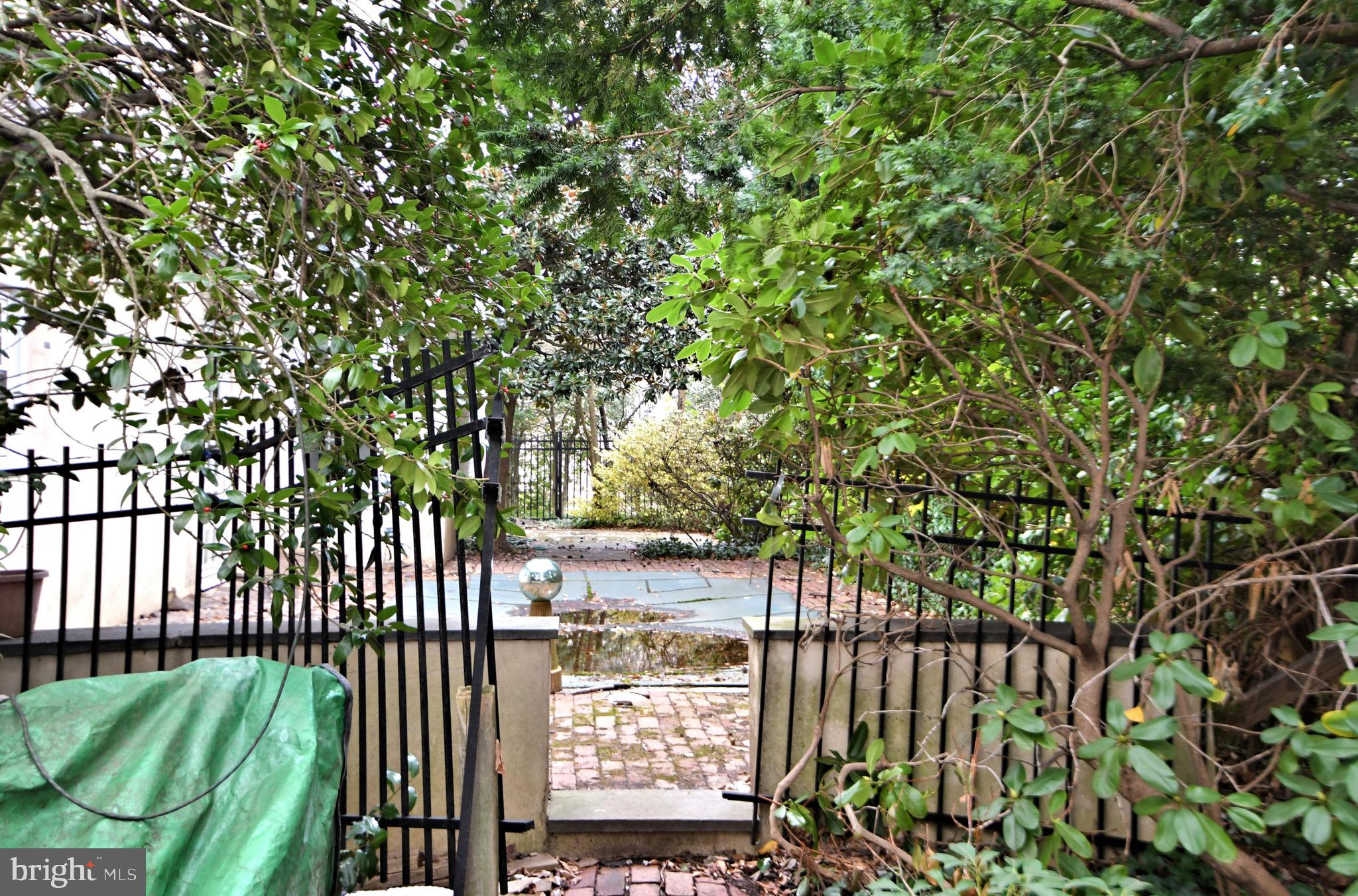 CHESTNUT HILL - Residential