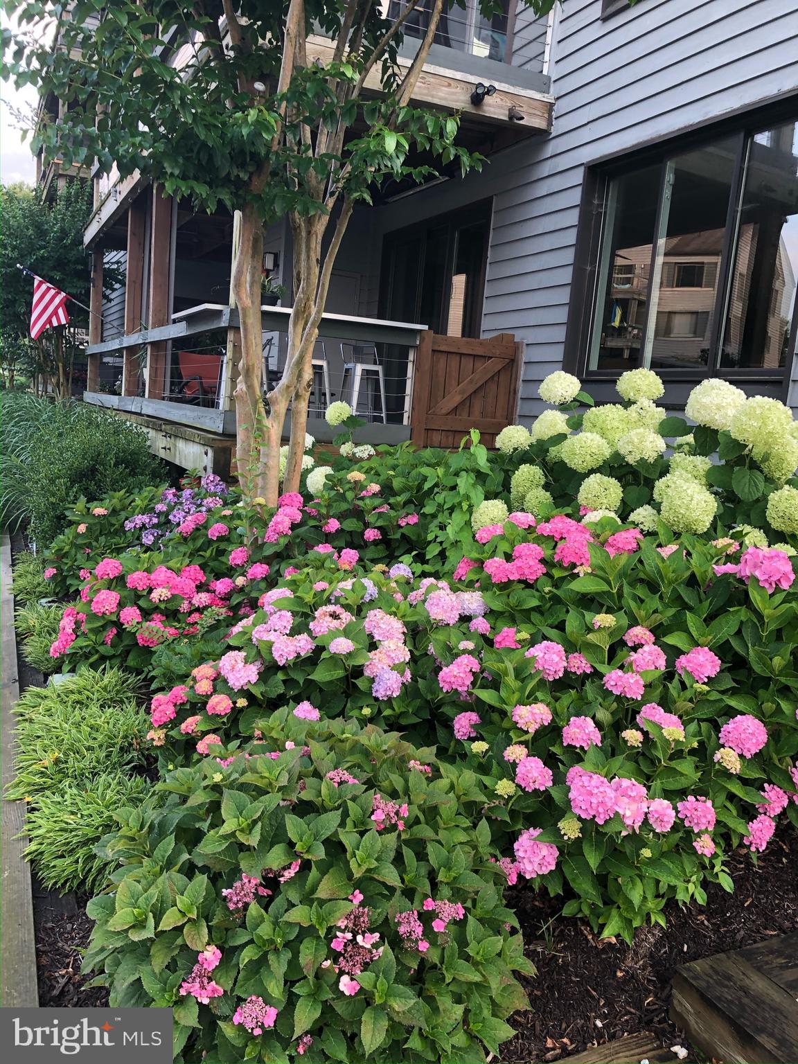 SHEARWATER CONDO - Residential