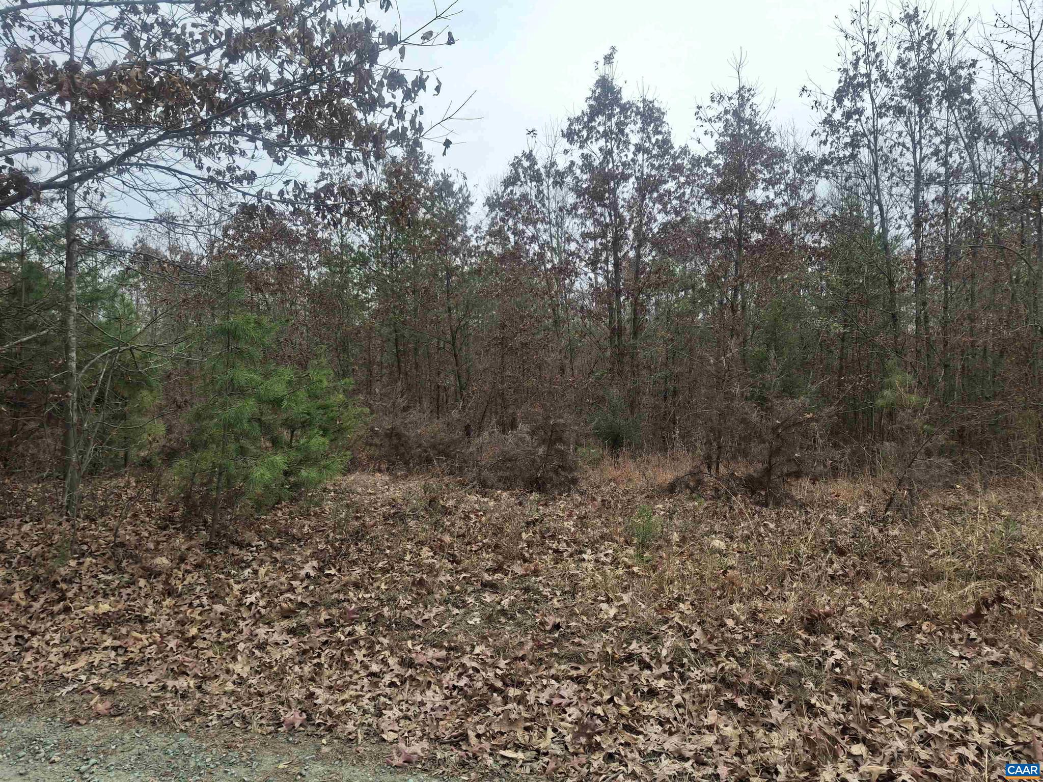 NONE AVAILABLE - Land