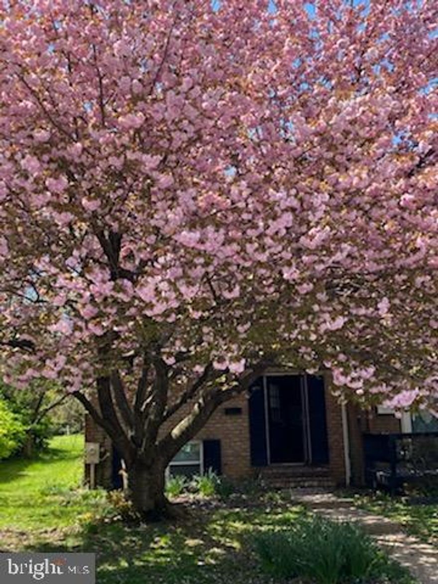 Welcome home to this rarely available EOG townhome with 3 bedrooms and 2.5 Bathrooms. This wonderfully updated home has a gourmet eat-in kitchen with granite countertops, tile flooring, ample amount of cabinet and counterspace, a large window that lets in tons of natural light and a pass through window to the dining room. The spacious  dining room w/ hardwood floors can easily accommodate a table of 8-10 and the living room, also with hardwood floors, leads to the rear patio through sliding glass doors.

On the 2nd level you will find 3 bedrooms all with hardwood floors.  The large primary suite has 2 closets and an en-suite bathroom with tile flooring and tiled shower with sliding glass doors.  The remaining two bedrooms are of good size each with their own spacious closets. The hall bathroom, also with tile flooring, has a shower/tub combo.  

At the lower lower level of this home you will find the spacious recreation room and 1/2 bath.  The  utility room houses the washer and dryer, and mechanicals such as the heat pump, water heater, radon mitigation system and sump pump.  Recent improvements to this home include new Roof 2021, siding 2019, and re-staining of the hardwood floors in 2017.

Queen Anne Village has a community pool, tennis courts and playground and is conveniently located to 695.