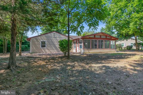 listing image 61