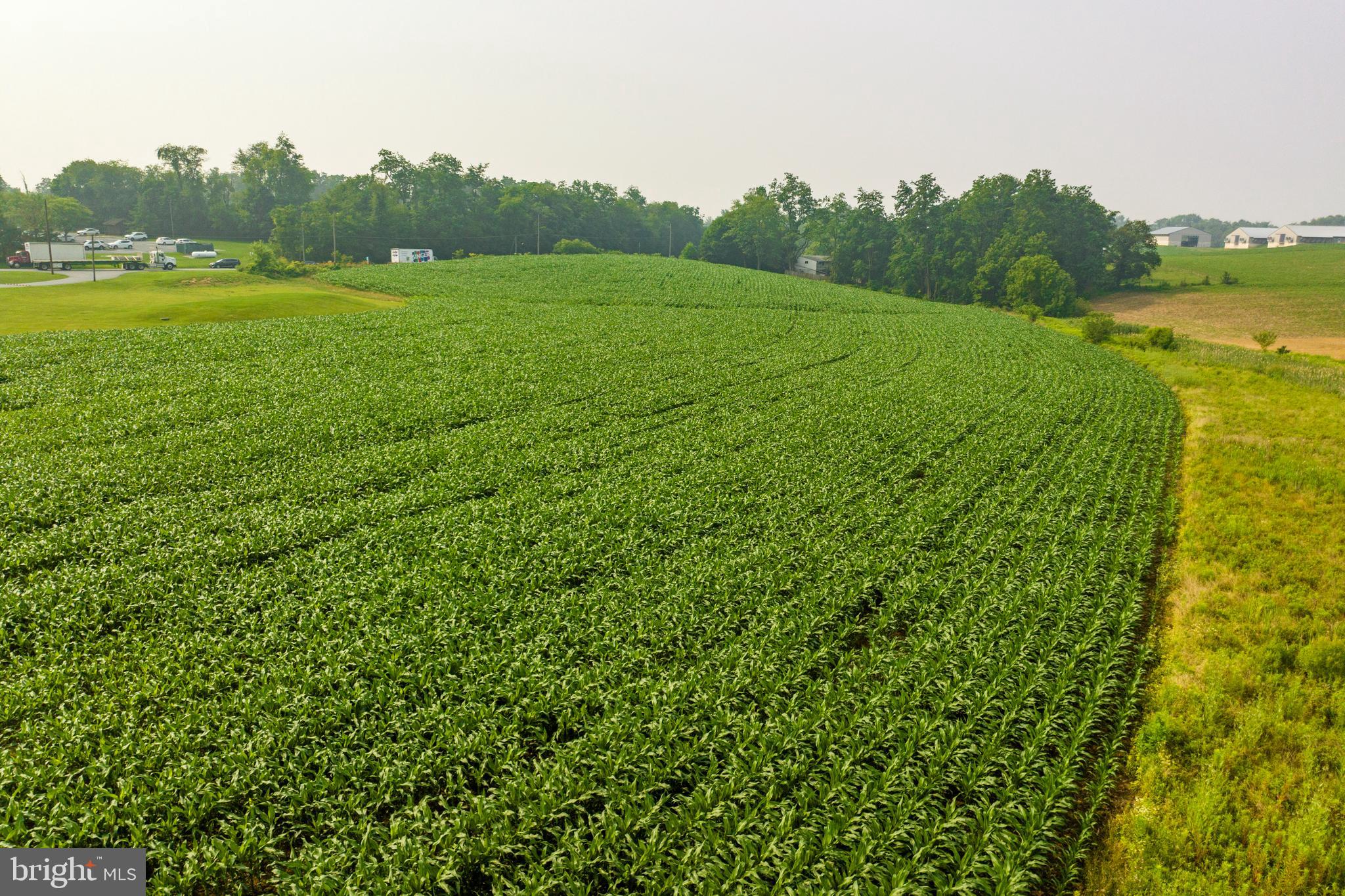 ELIZABETH TWP - Land