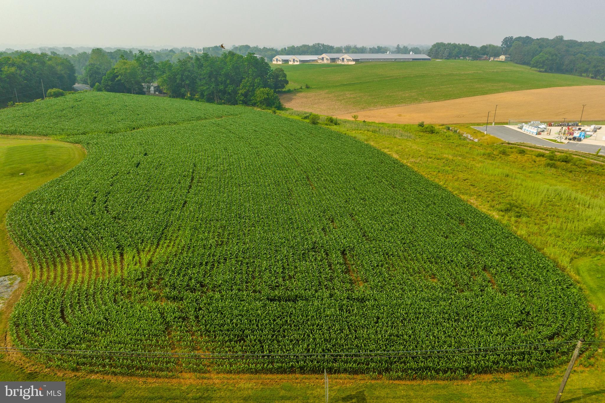 ELIZABETH TWP - Land