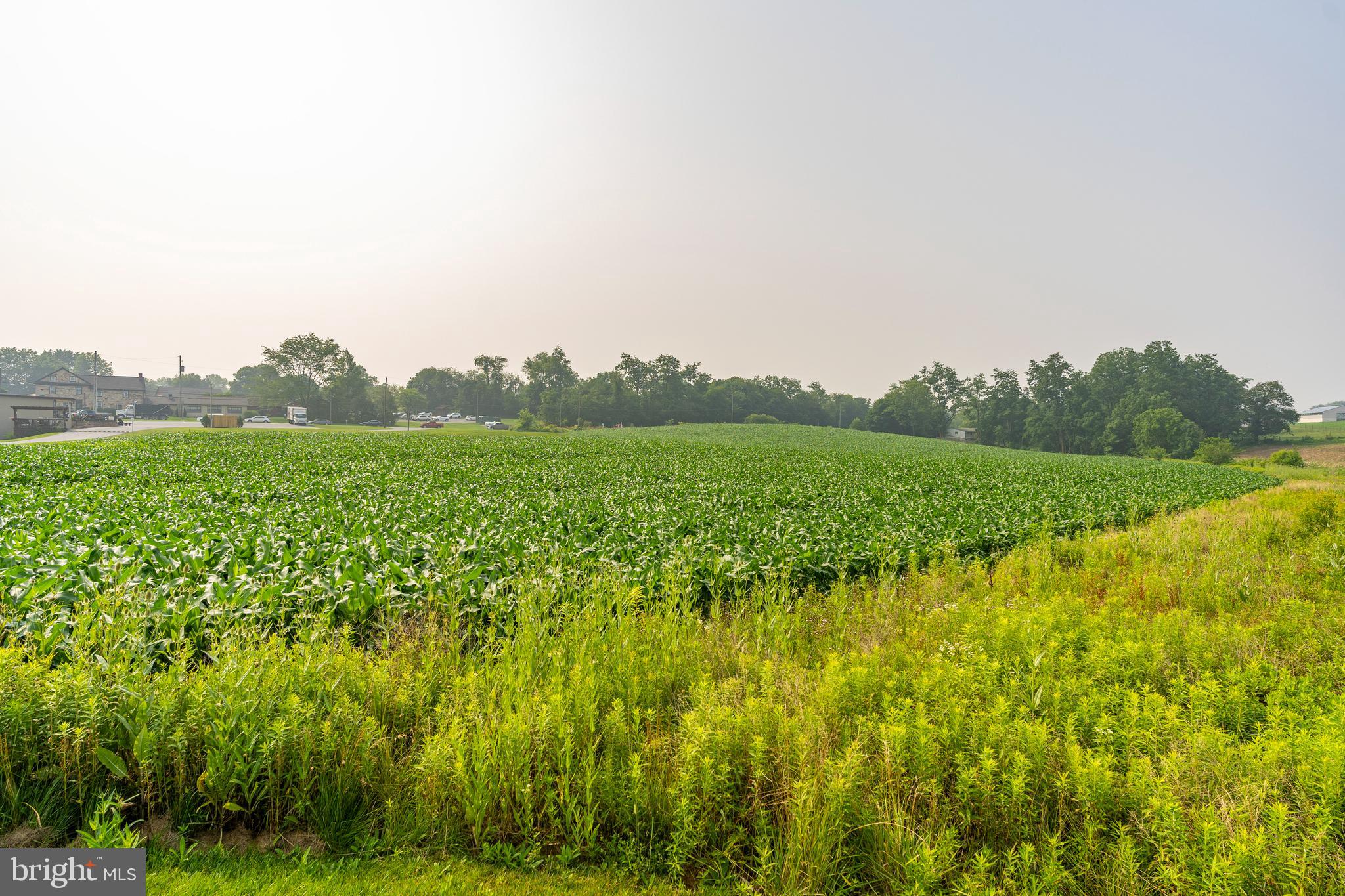 ELIZABETH TWP - Land