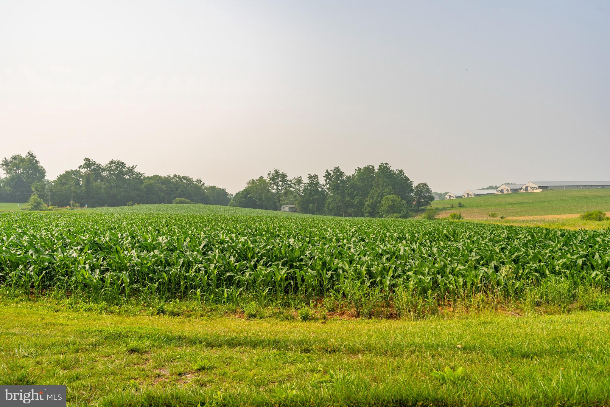 ELIZABETH TWP - Land