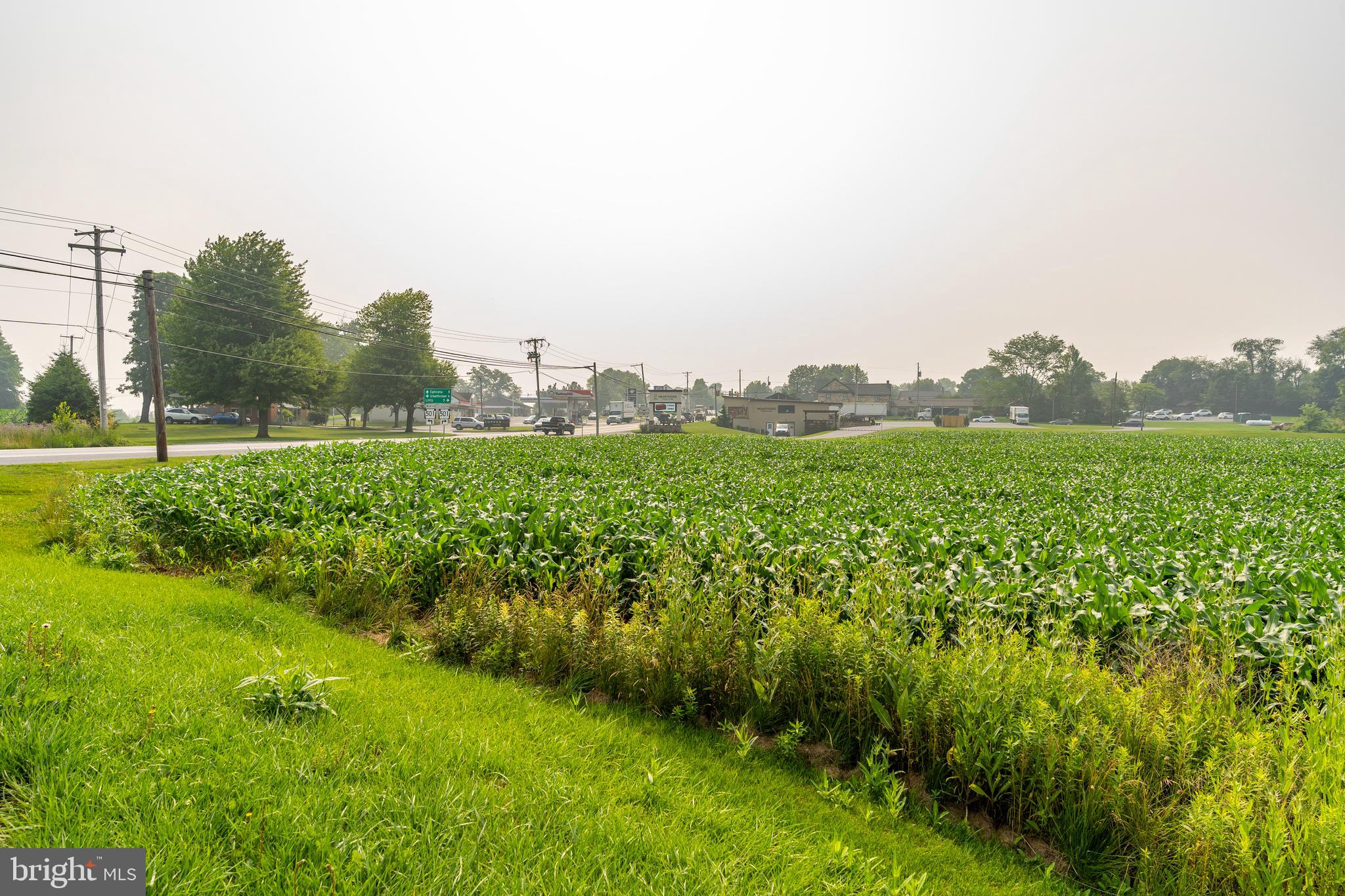 ELIZABETH TWP - Land